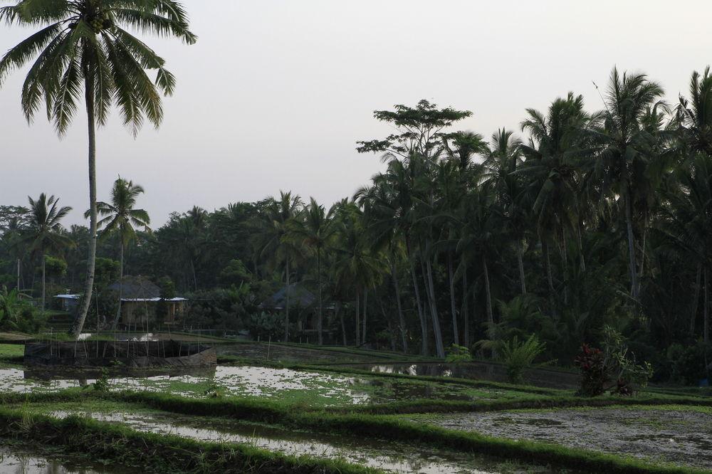 Ubud Syailendra Villas