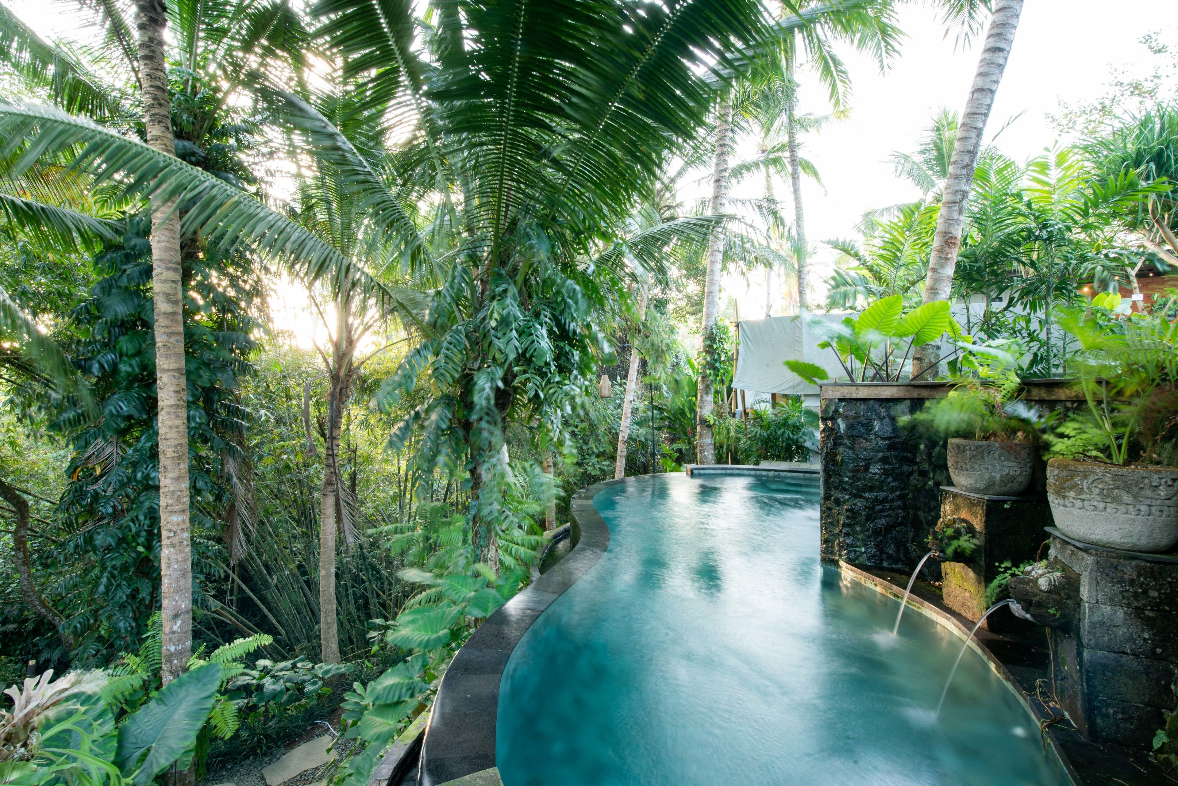 Ubud Tropical