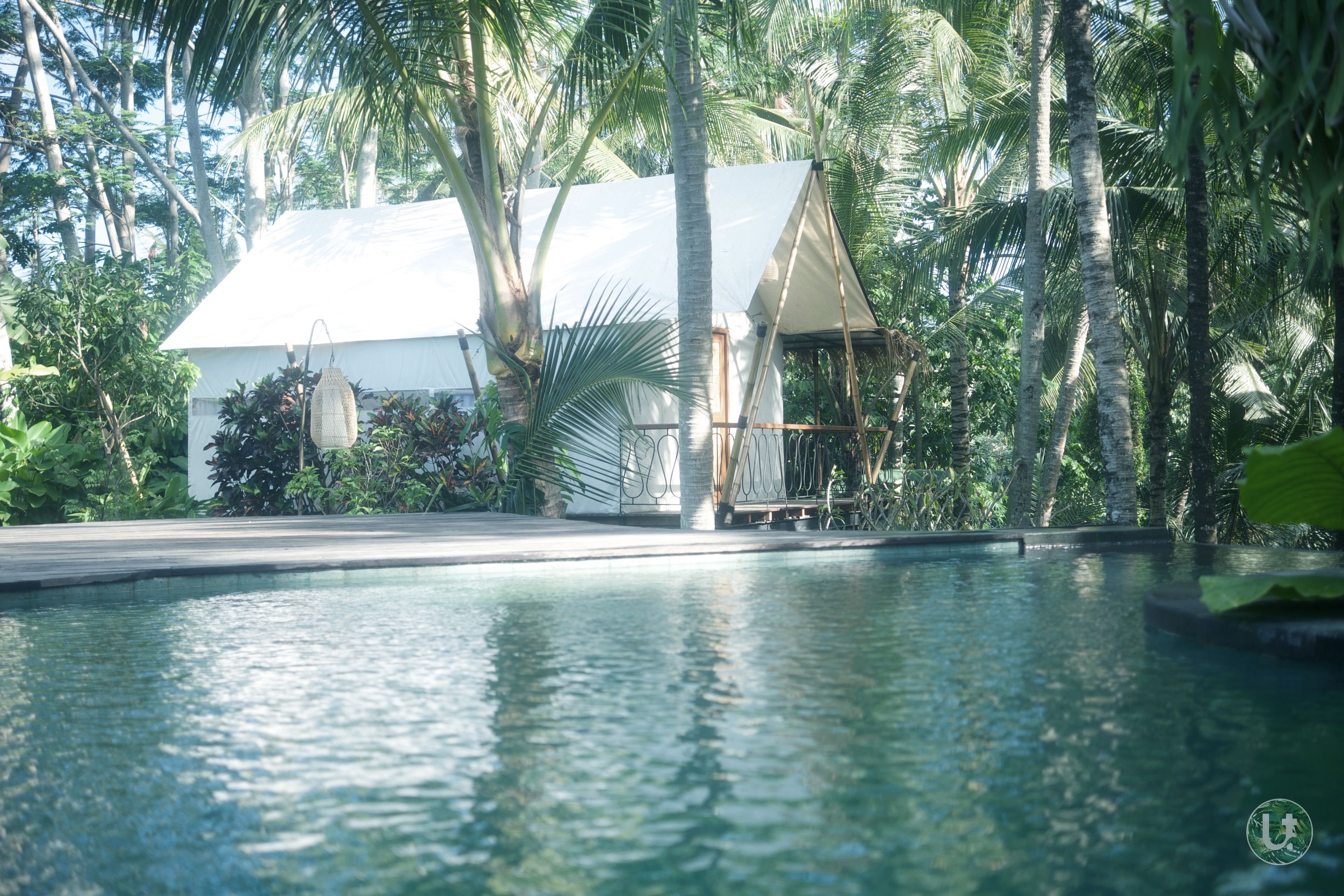 Ubud Tropical