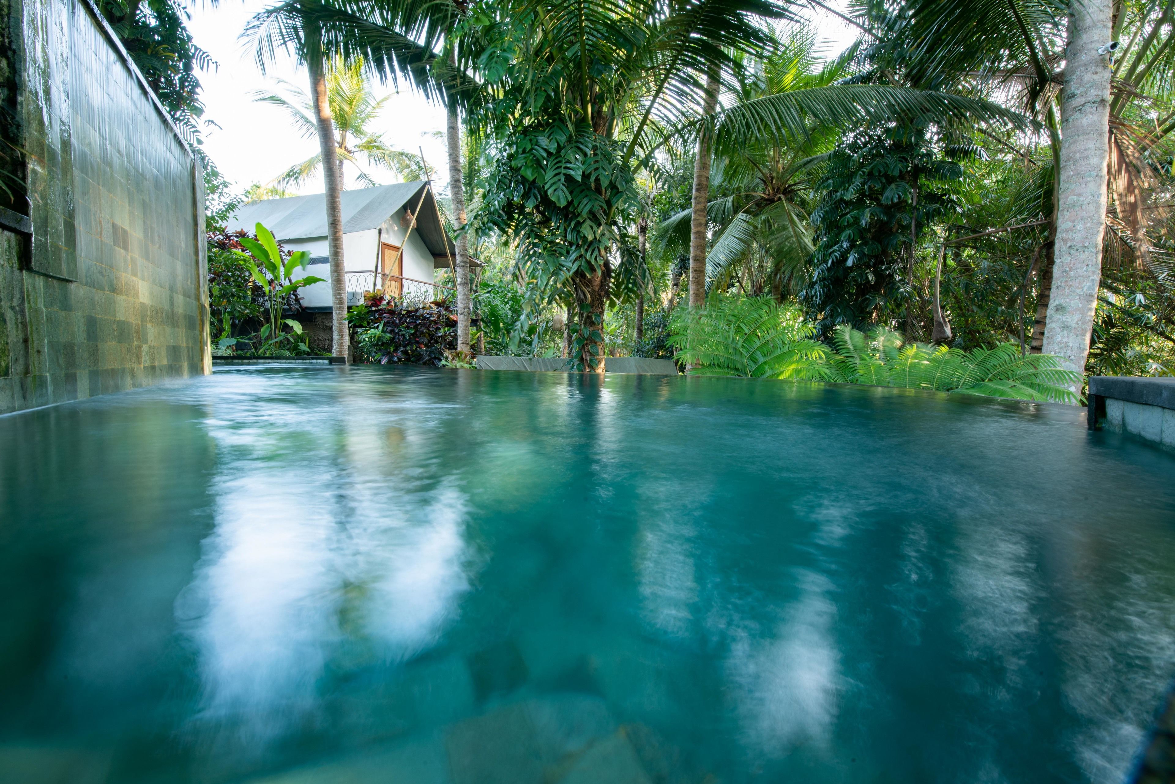 Ubud Tropical