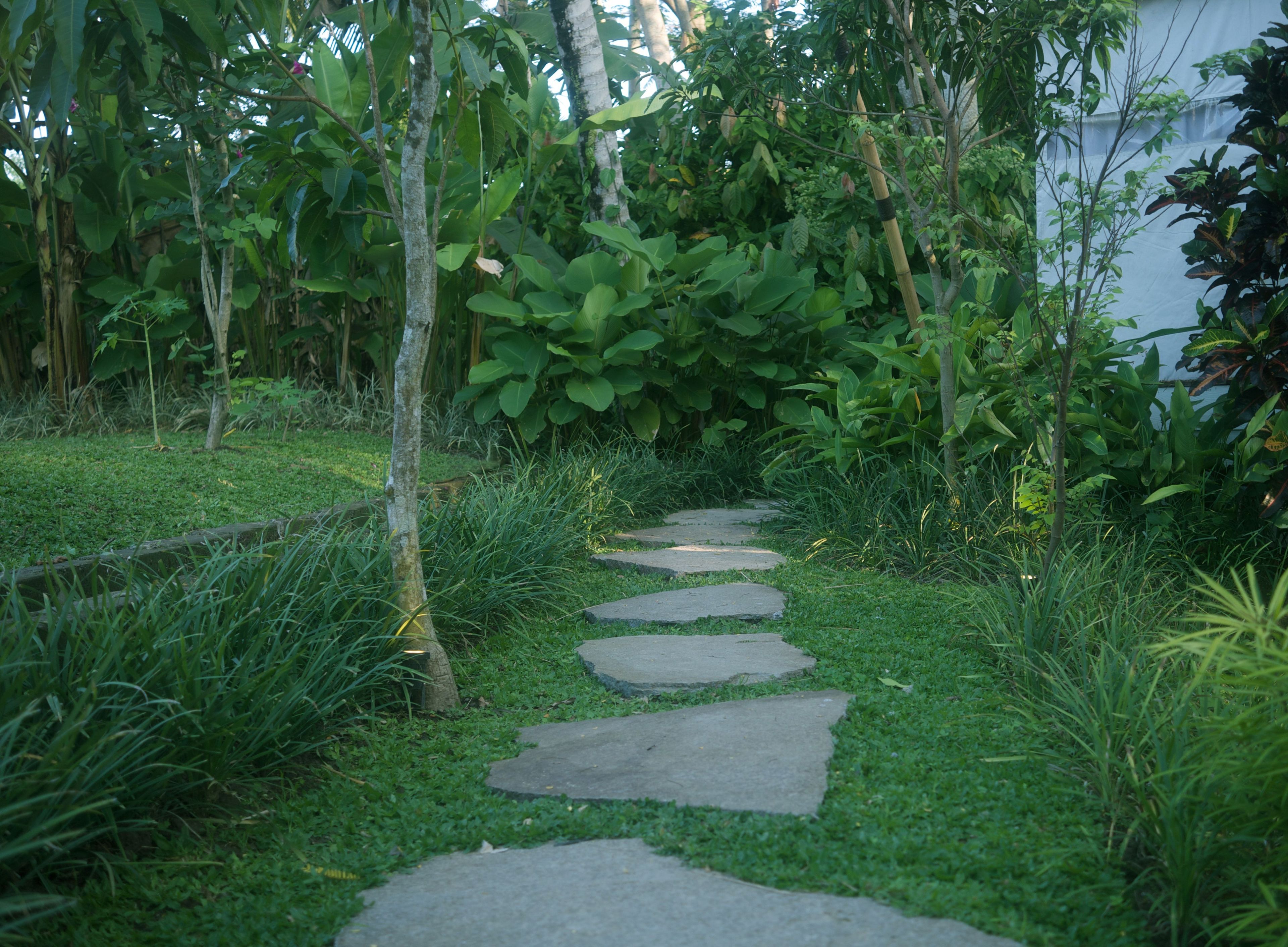 Ubud Tropical