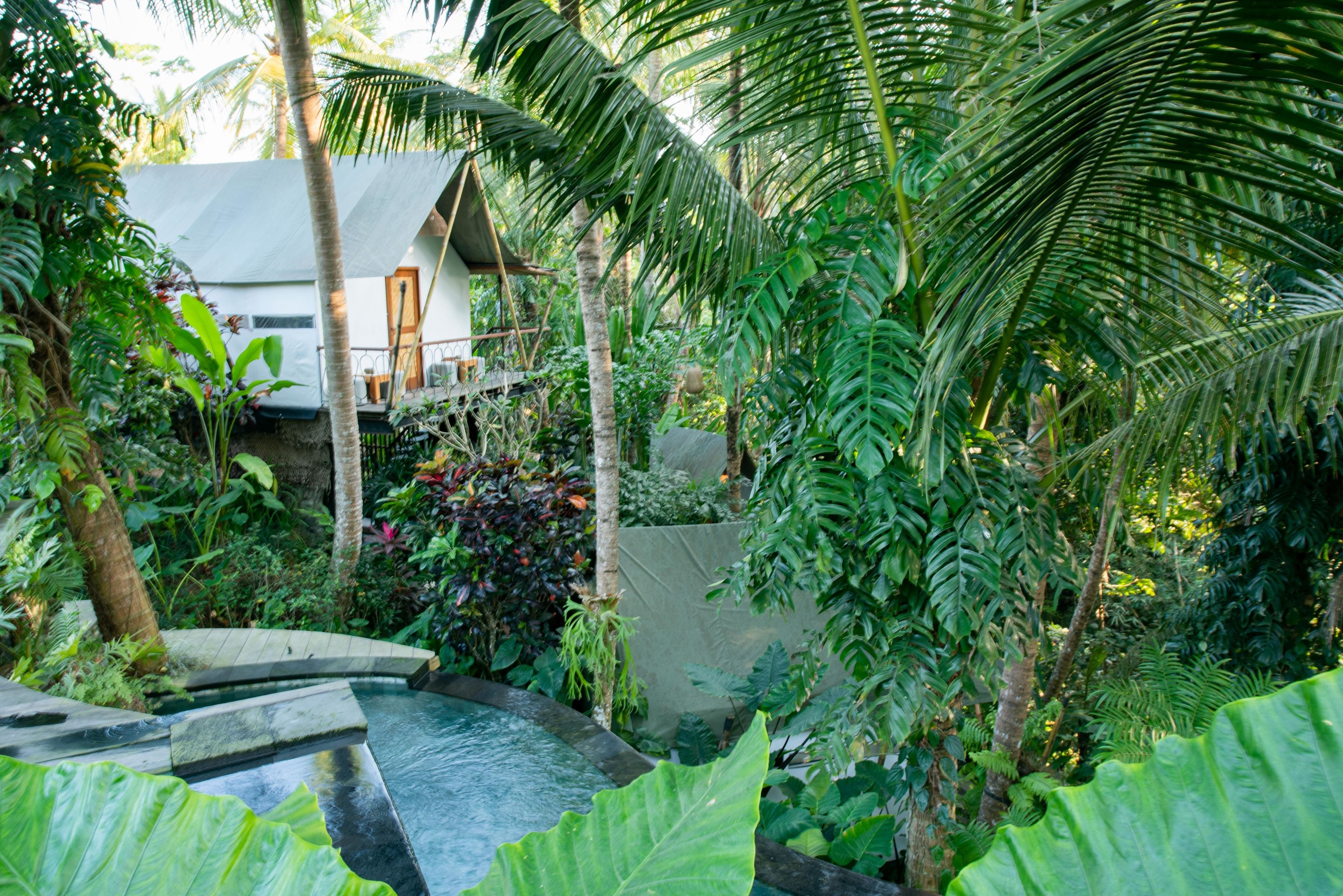 Ubud Tropical