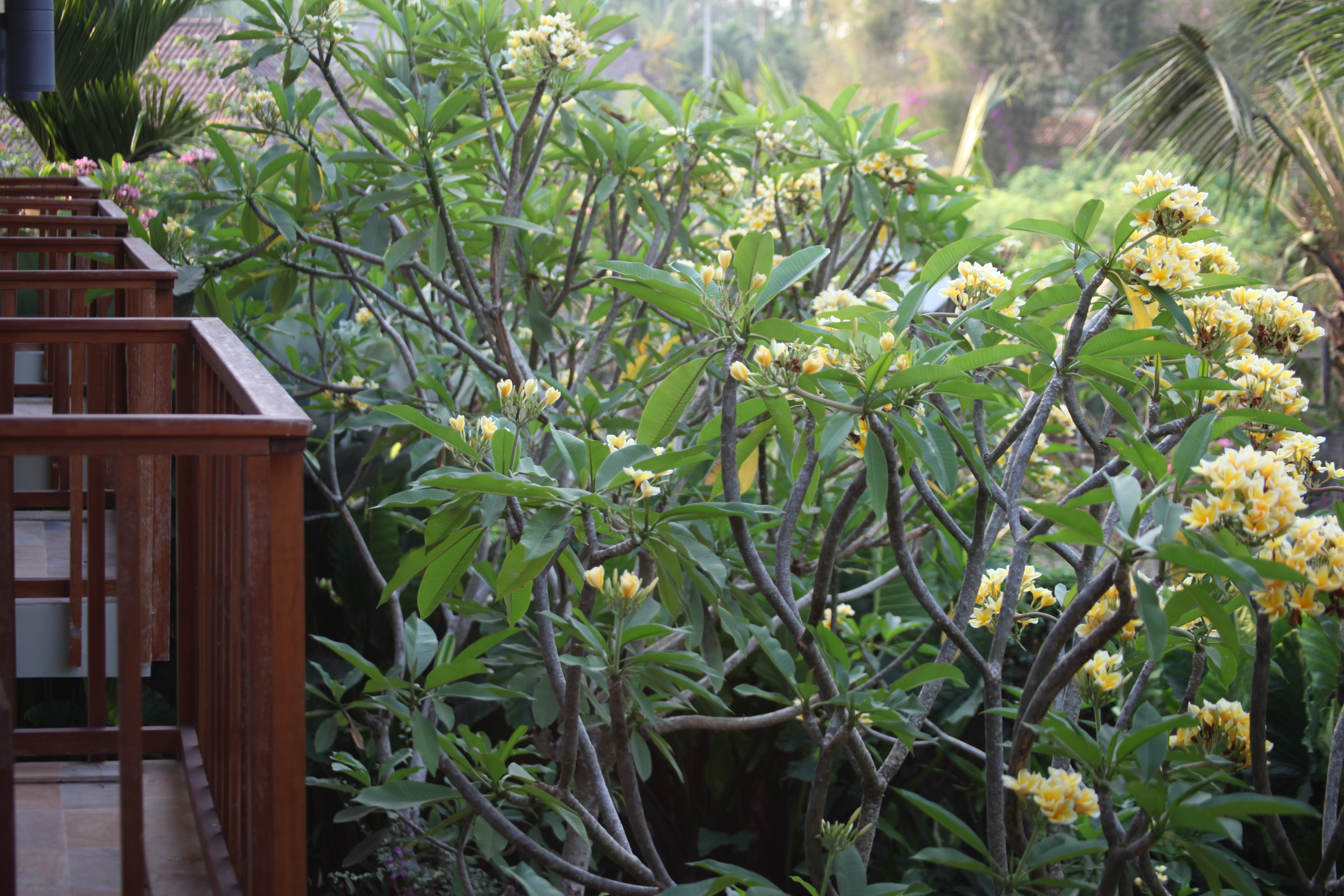Ubud Wana Resort