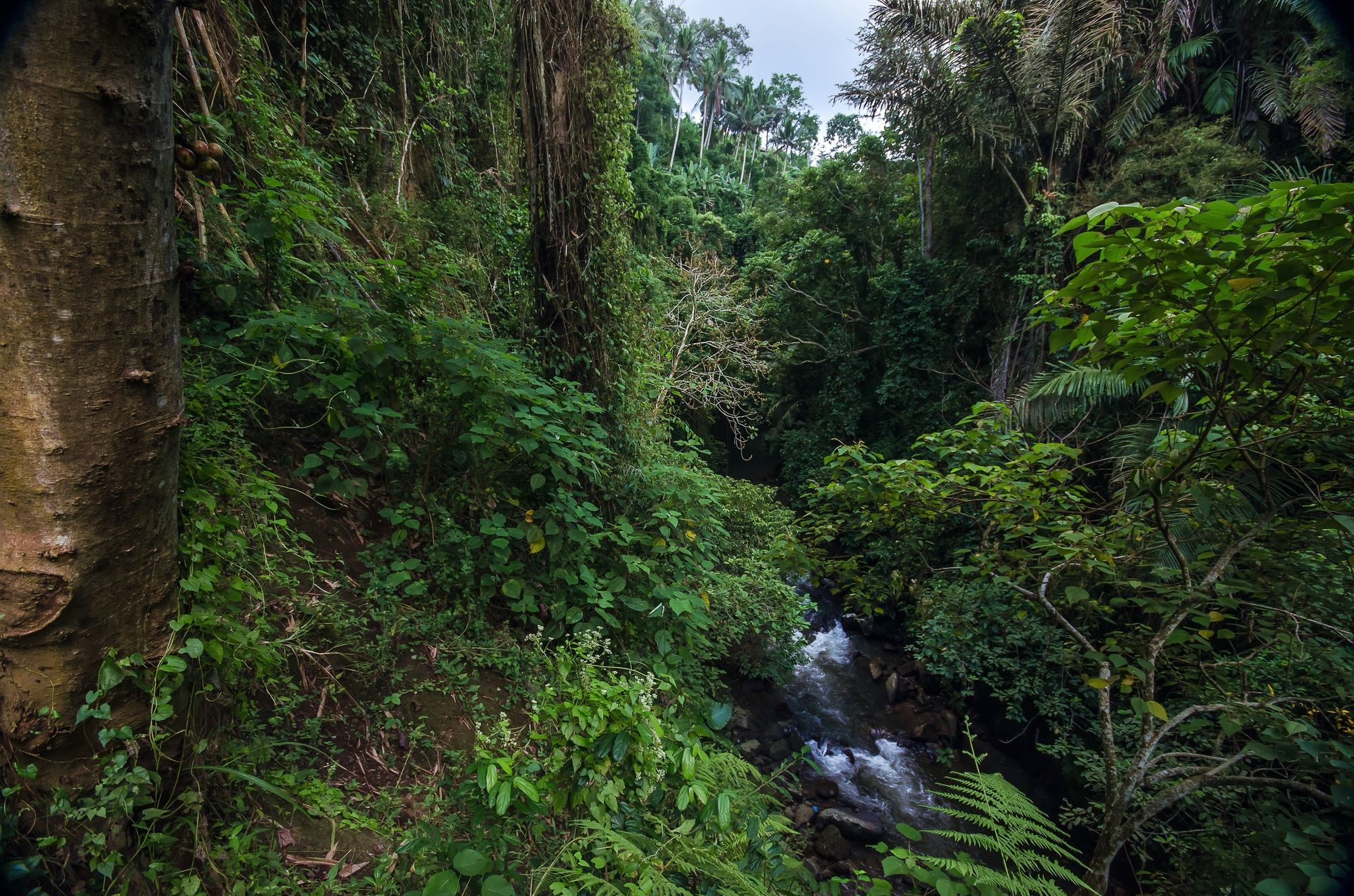 The Kayon Valley Resort