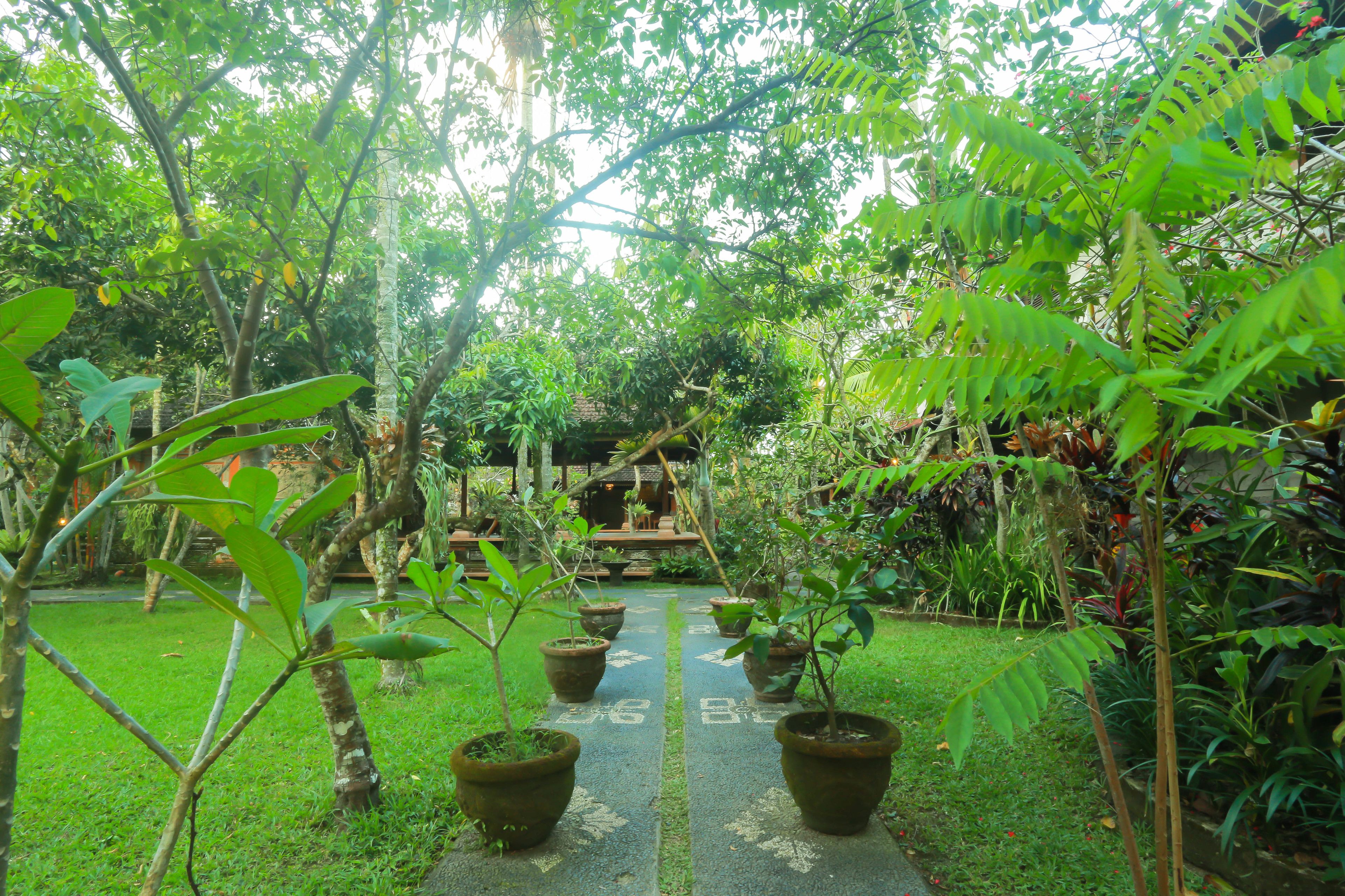 Uma Dawa