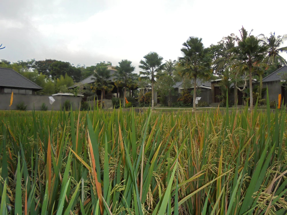 Umae Villa