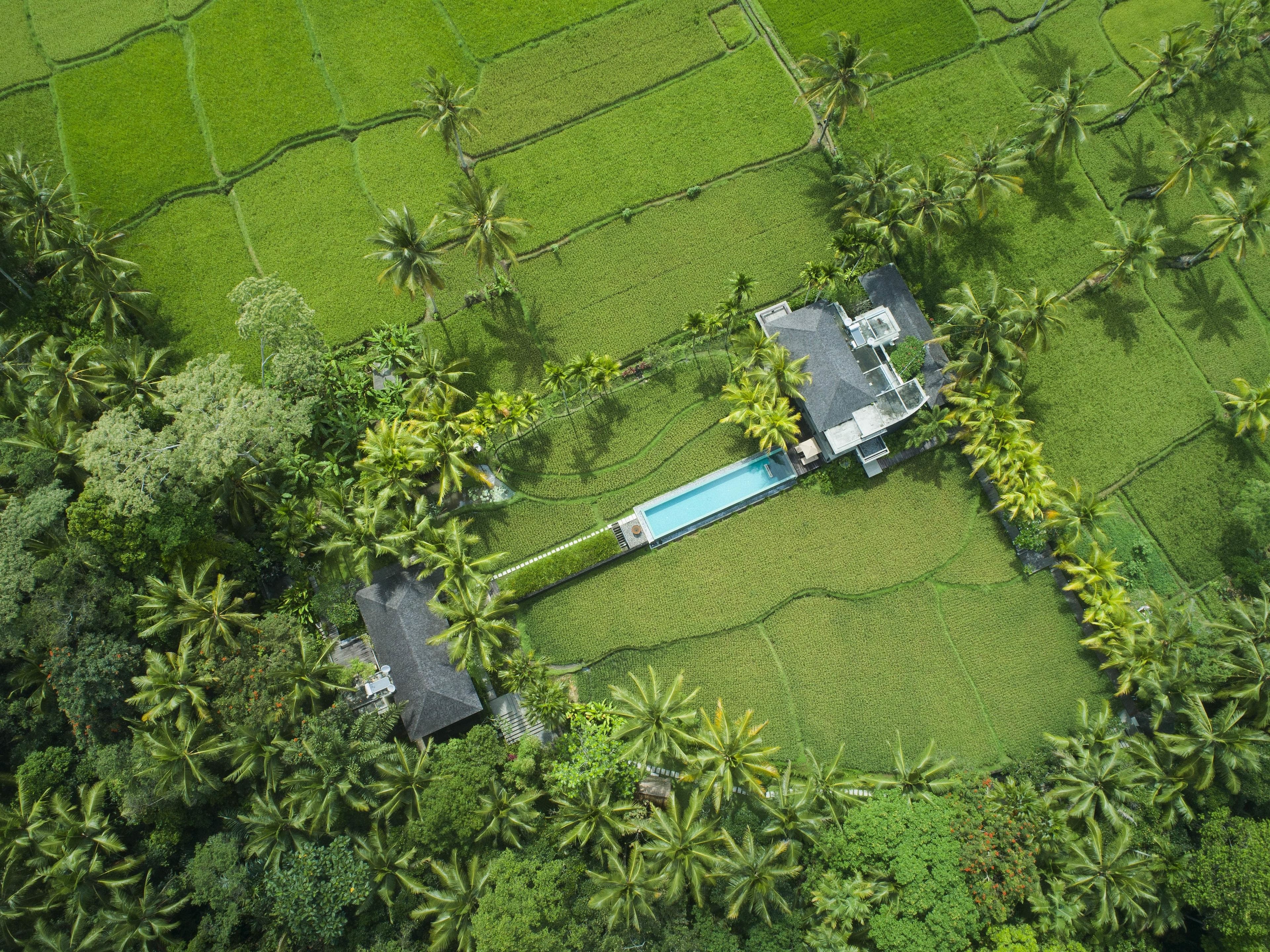 Uma Giri Villas