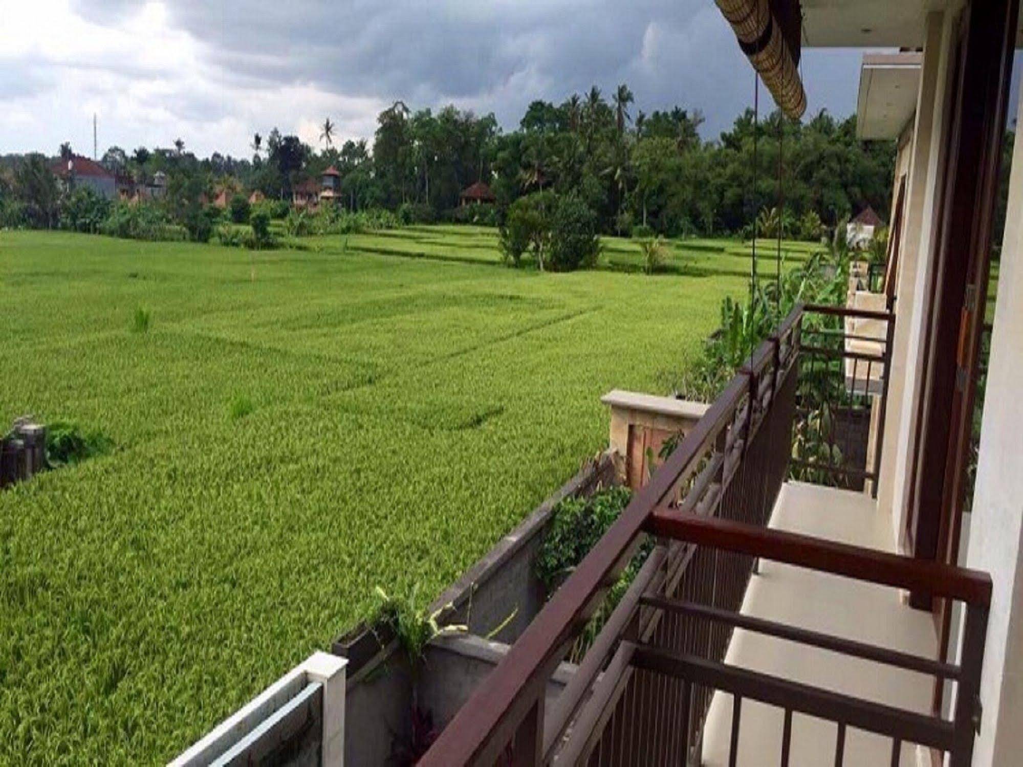 Uma Padi Villa