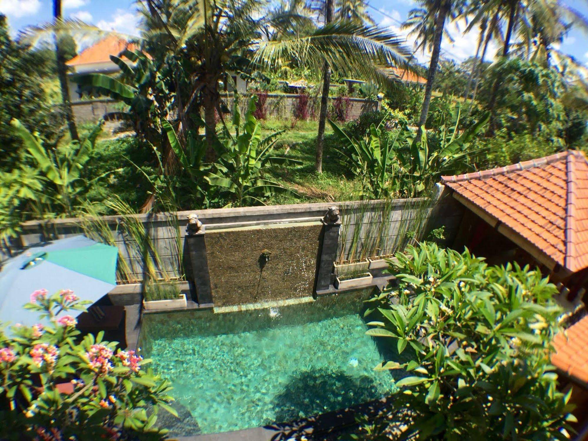 Uma Padi Villa