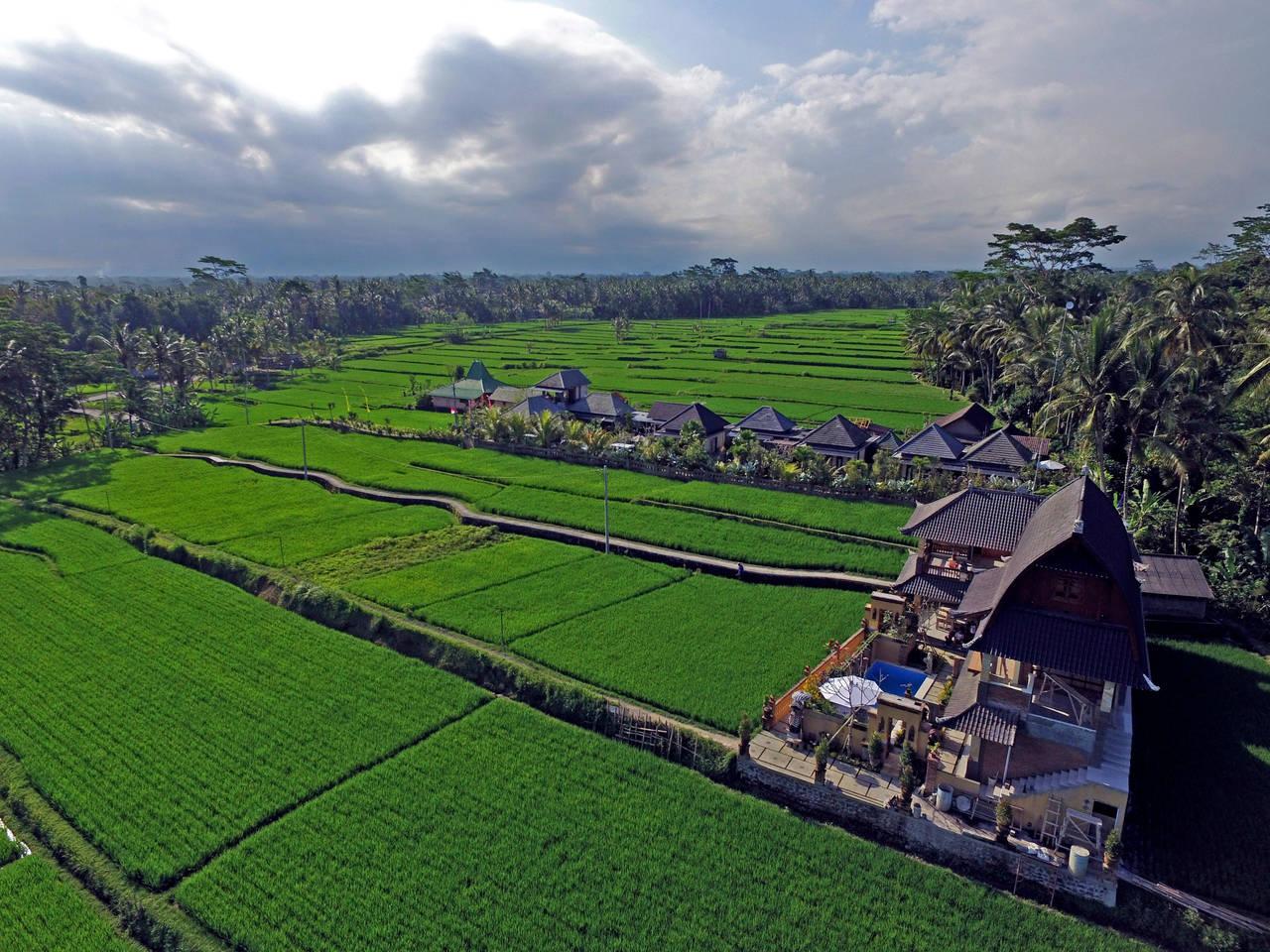 Uma Sari Villa