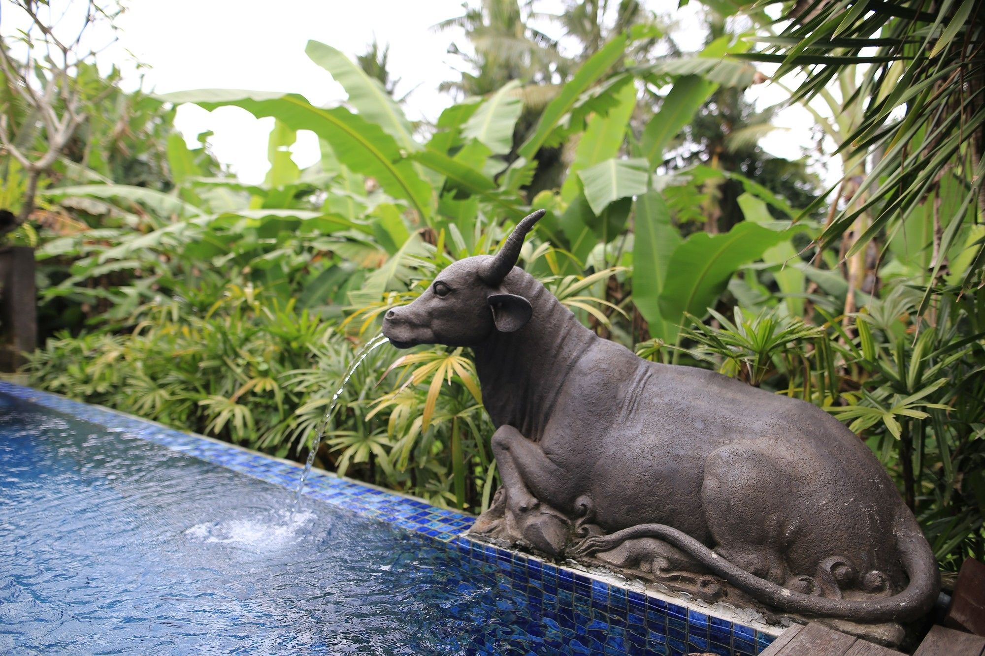 Ume Sri Villas Ubud
