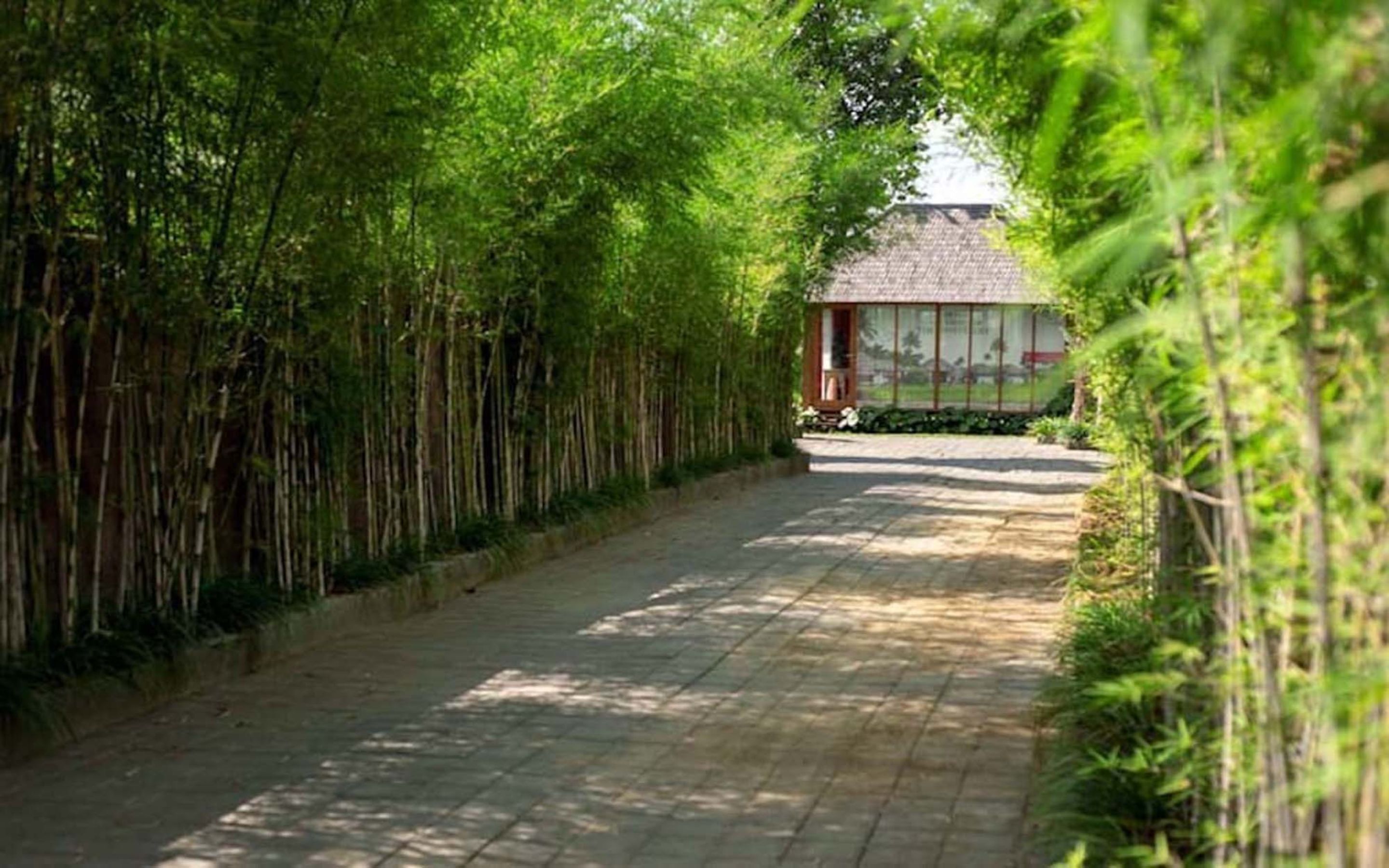 Villa Aprikot Ubud