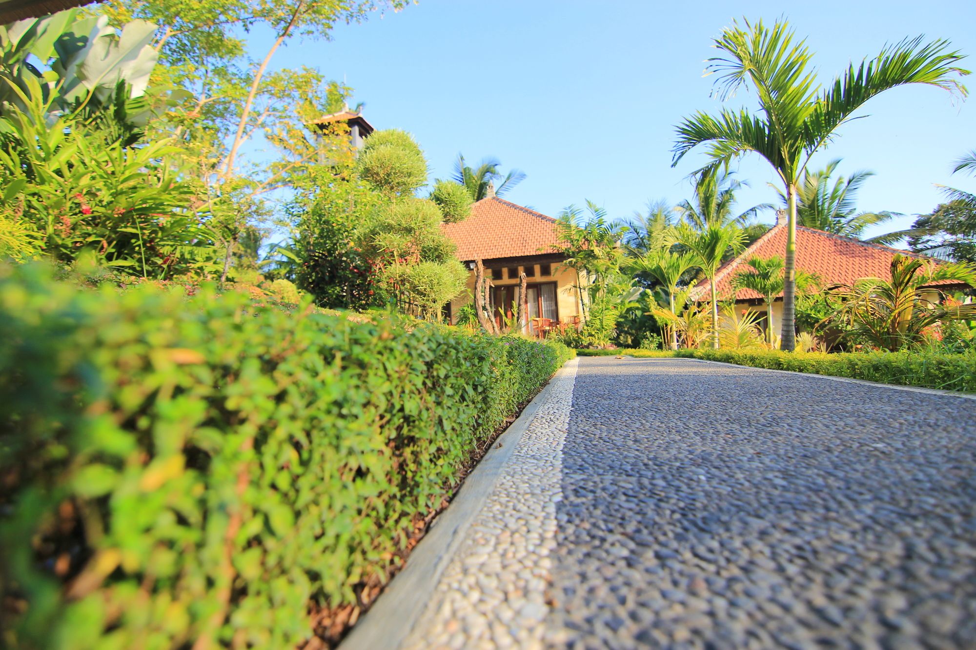 Villa Capung Mas