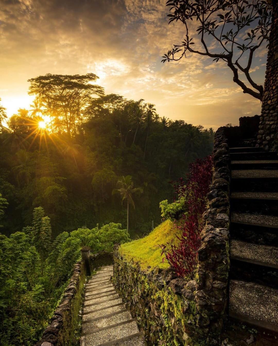 Villa Cella Bella Ubud