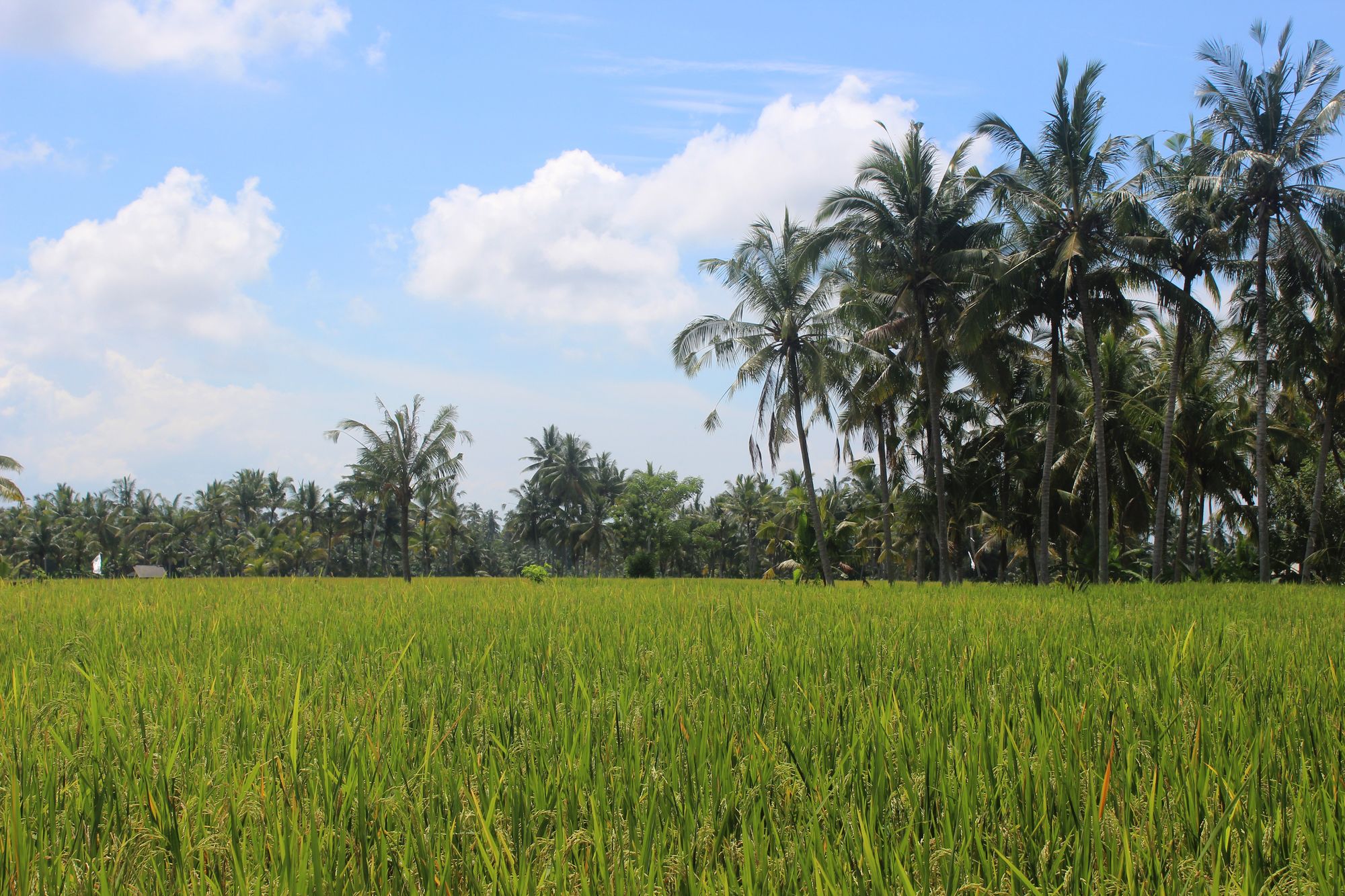 Villa Hening Bali