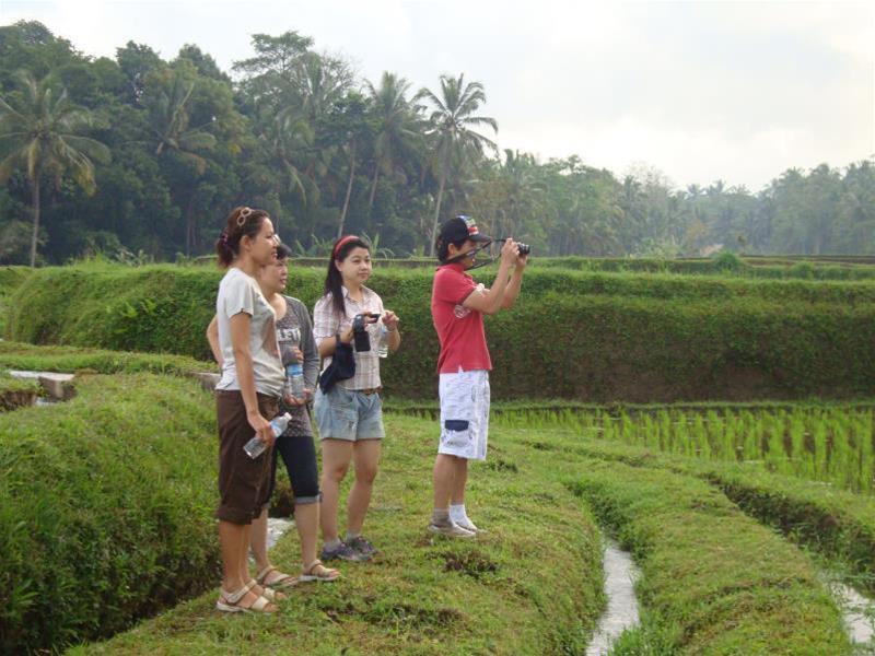Villa Ibu Rama Ubud