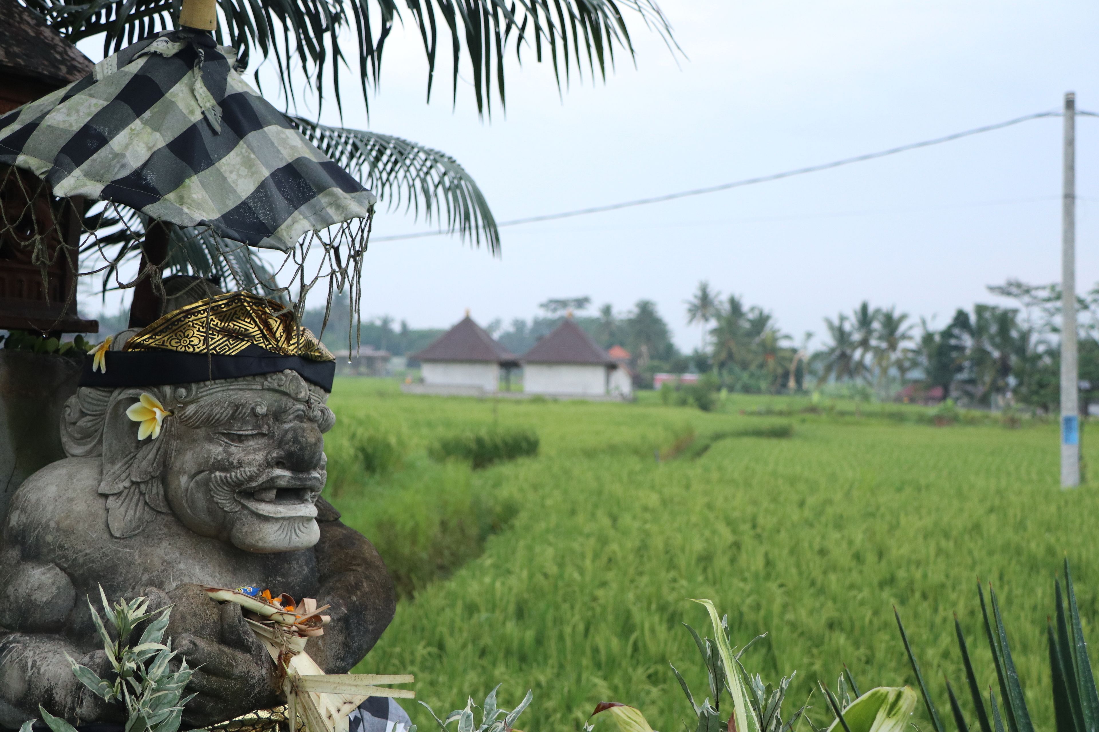 Villa JJ and Spa Ubud