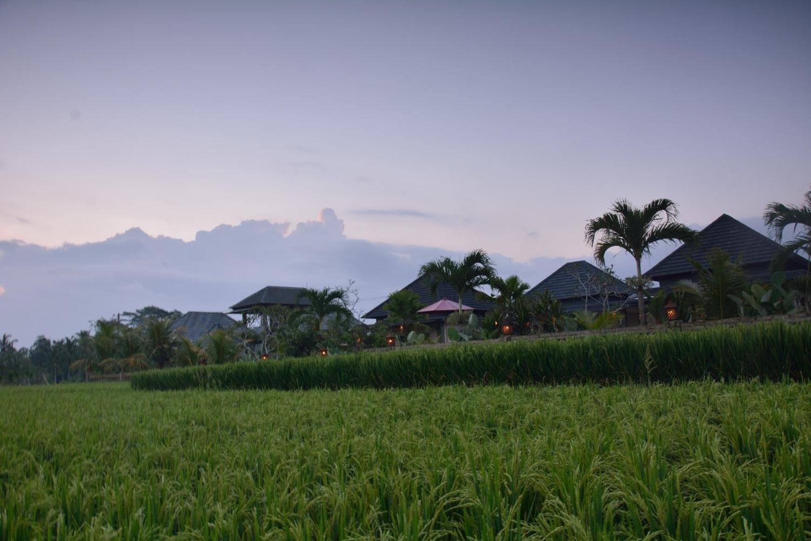Villa JJ and Spa Ubud
