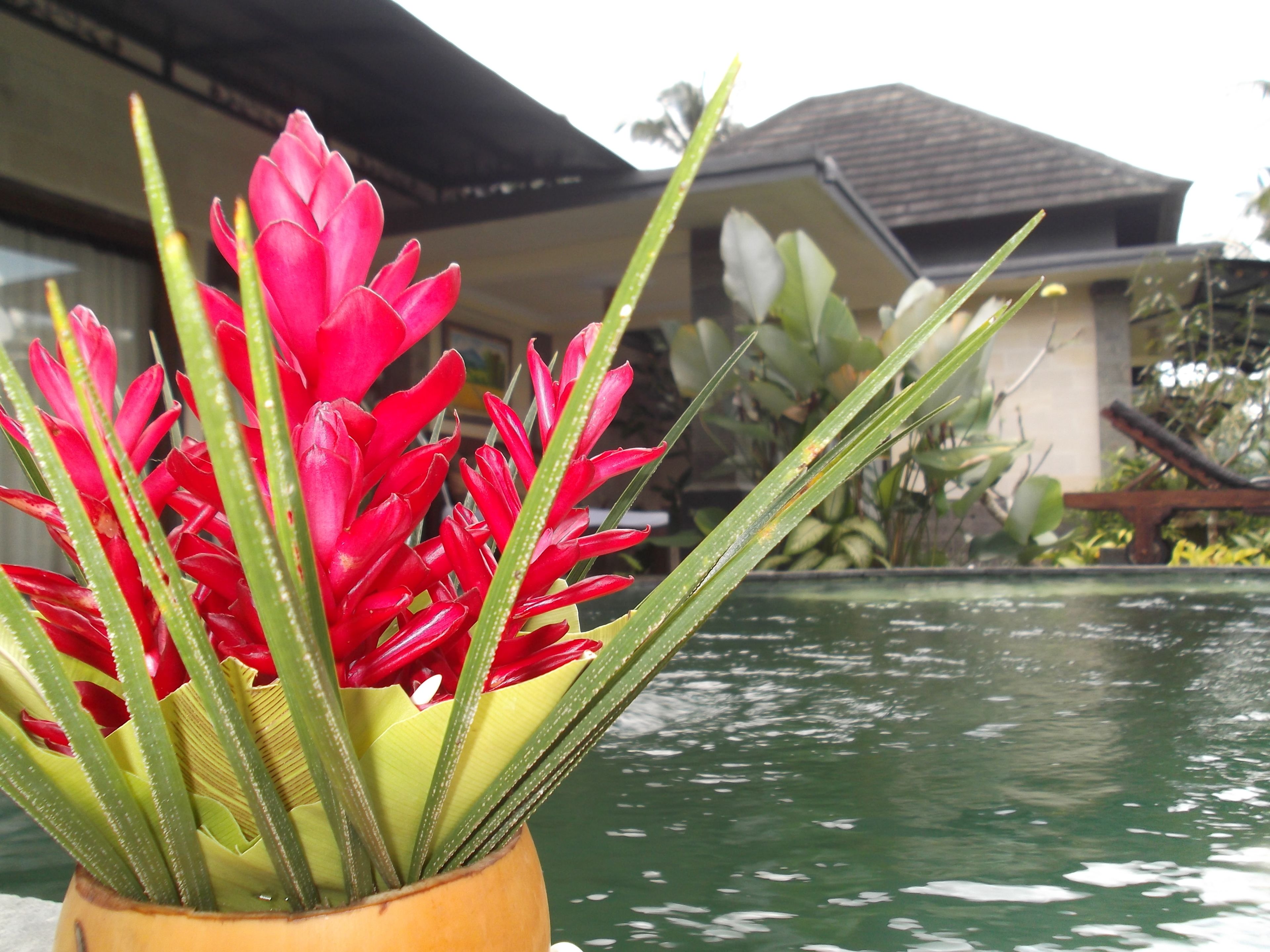 Villa JJ and Spa Ubud