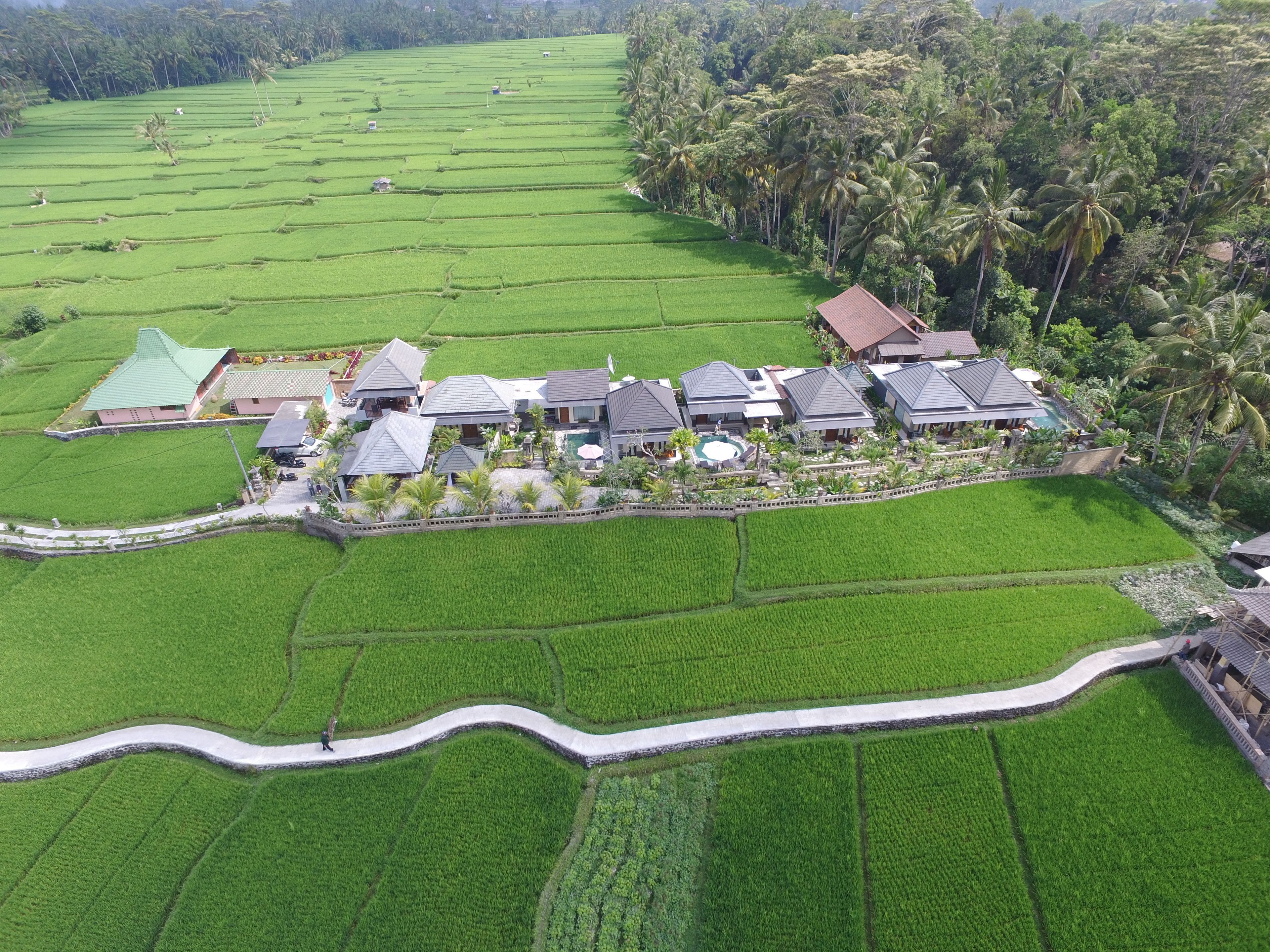 Villa JJ and Spa Ubud