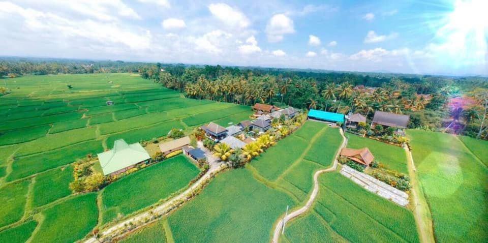 Villa JJ and Spa Ubud