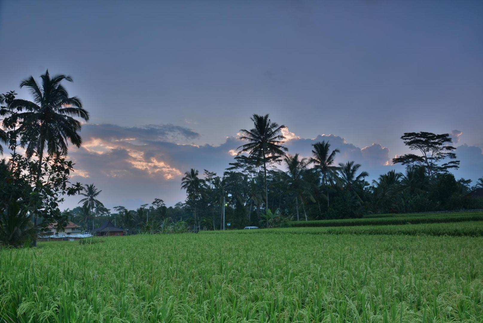 Villa JJ and Spa Ubud