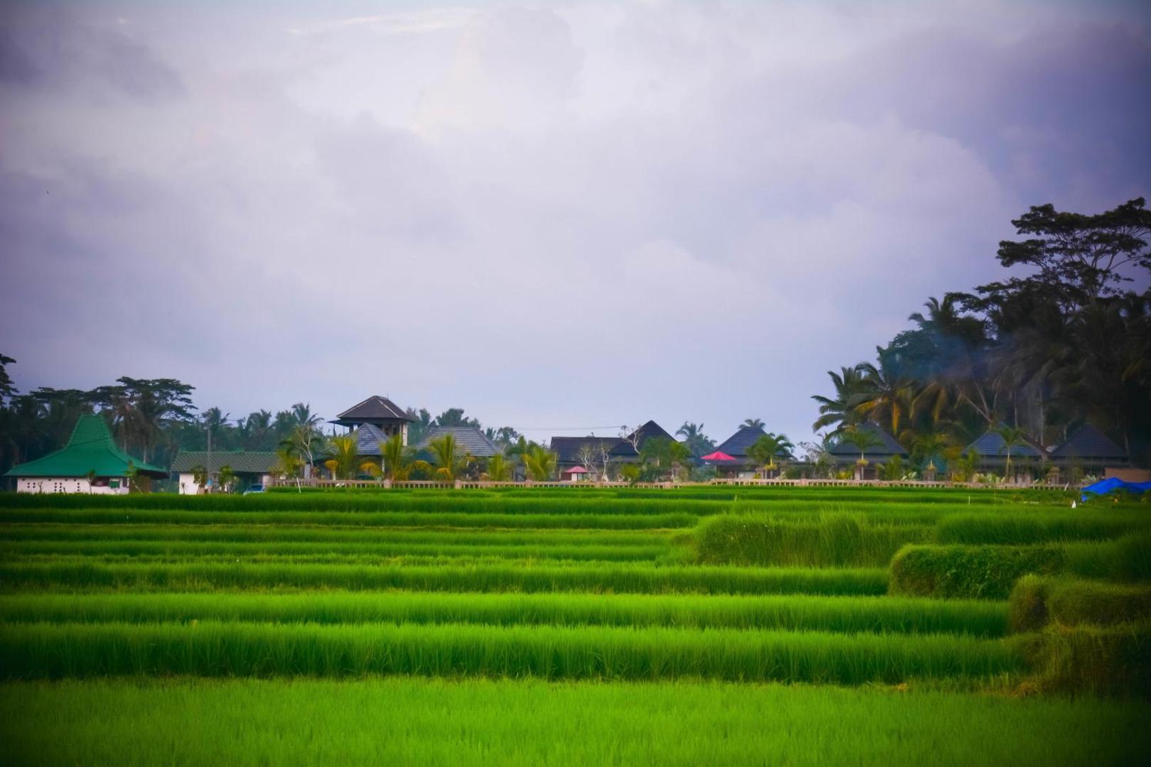 Villa JJ and Spa Ubud