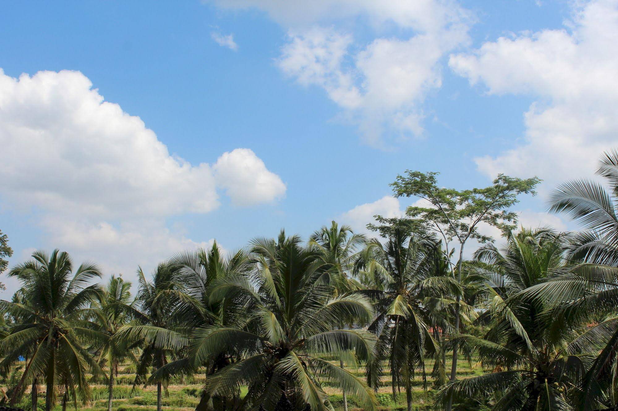 Villa Junjungan Resort Pool and Spa