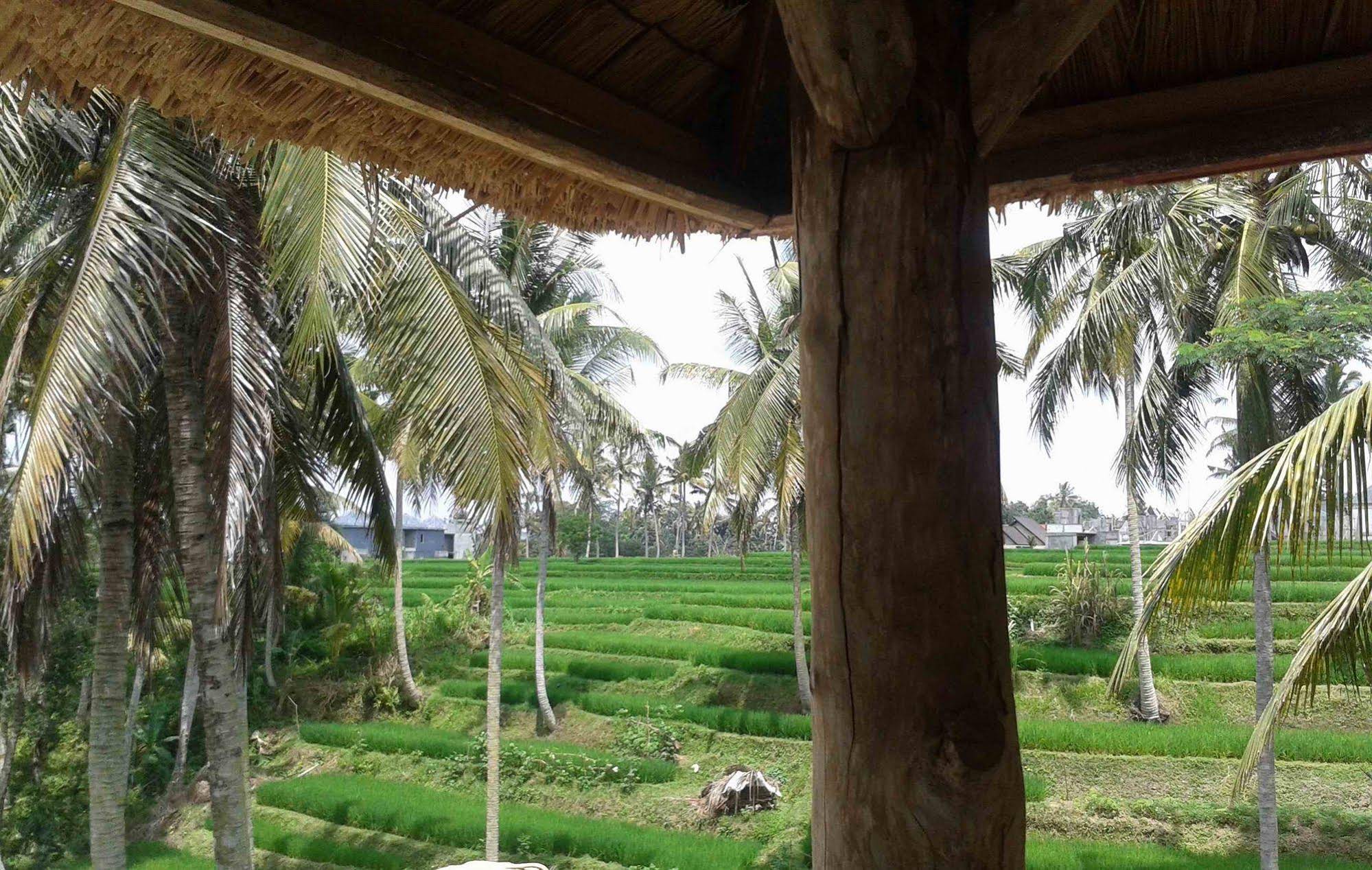 Villa Junjungan Resort Pool and Spa