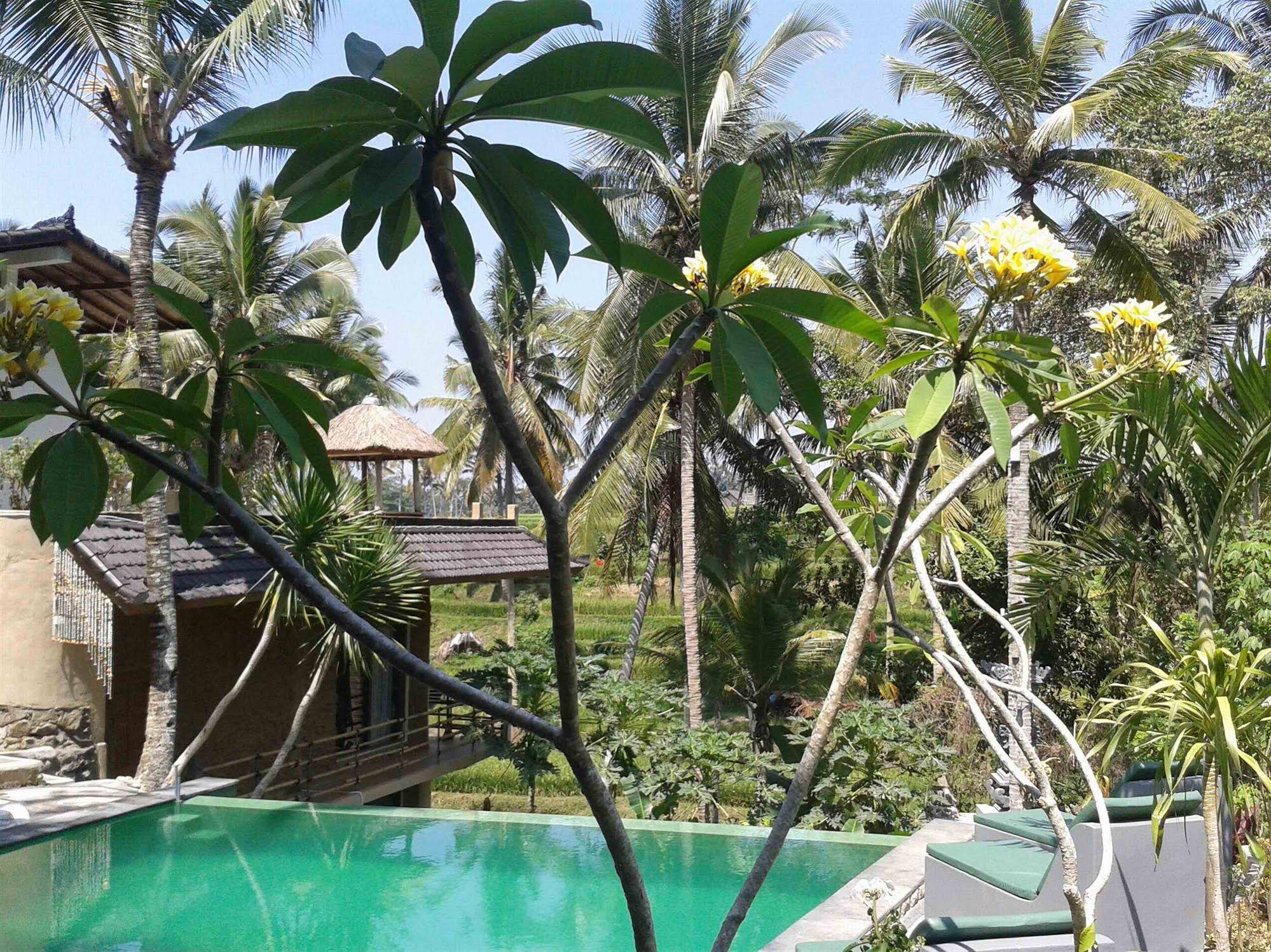 Villa Junjungan Resort Pool and Spa