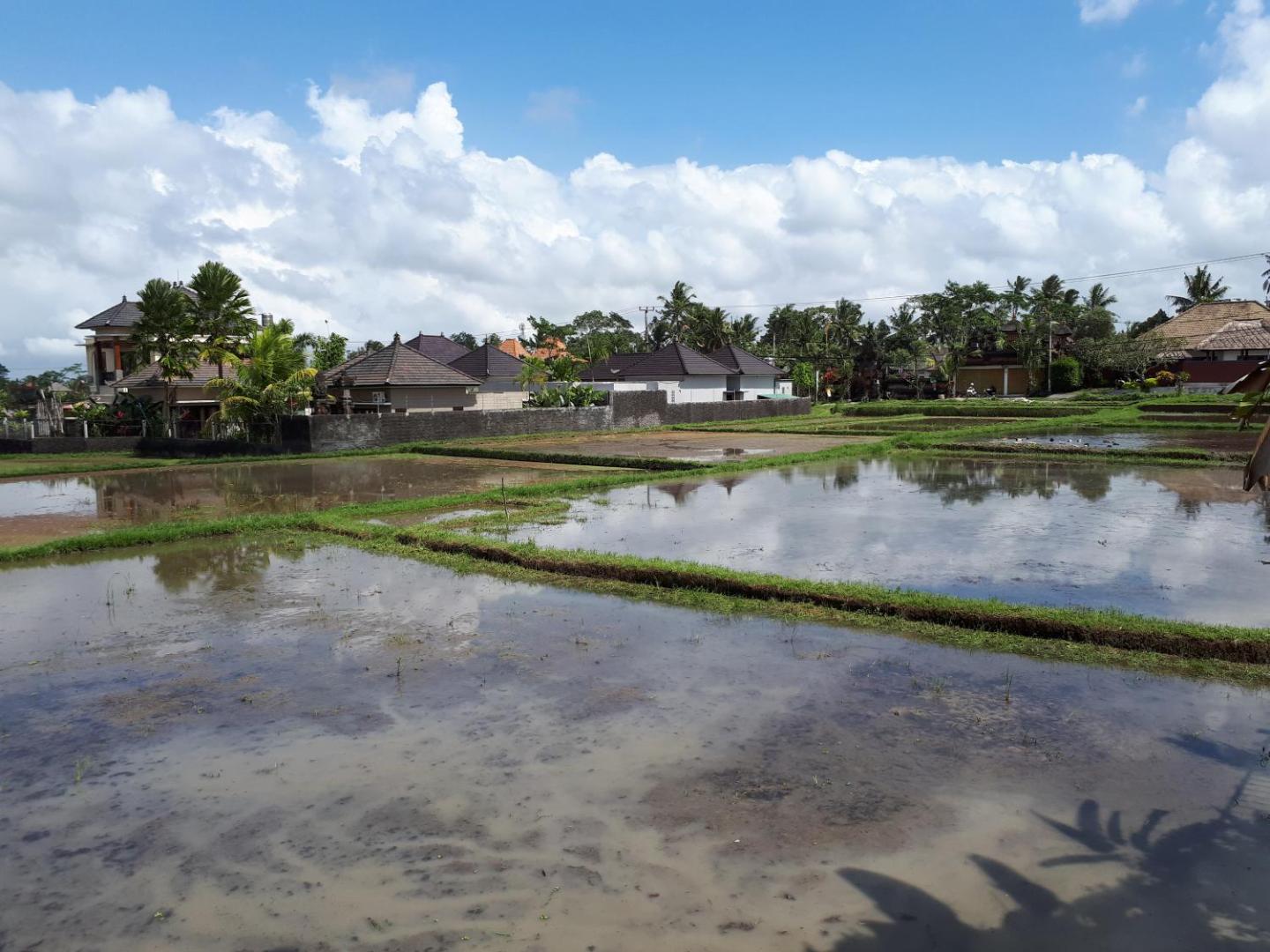 Villa Kirani Ubud