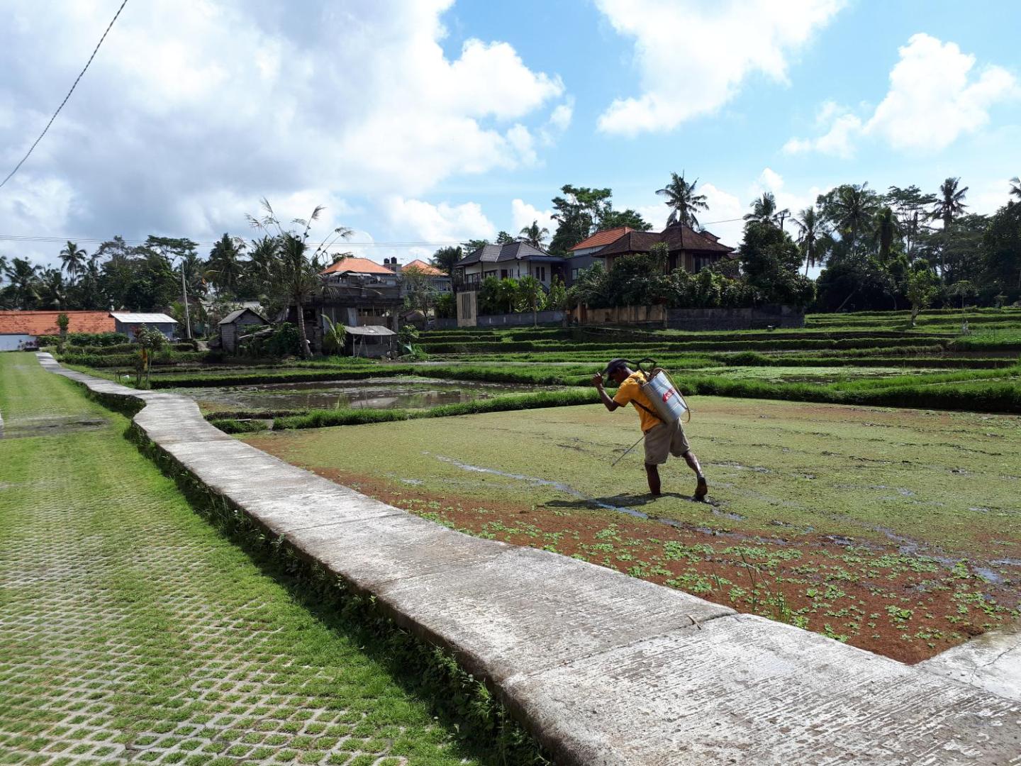 Villa Kirani Ubud