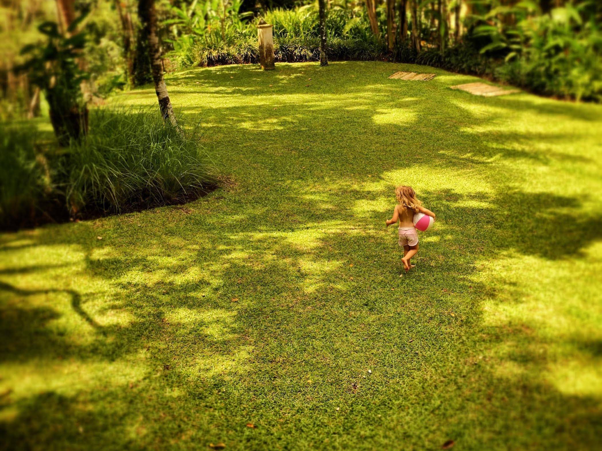 Villa Naga Ubud