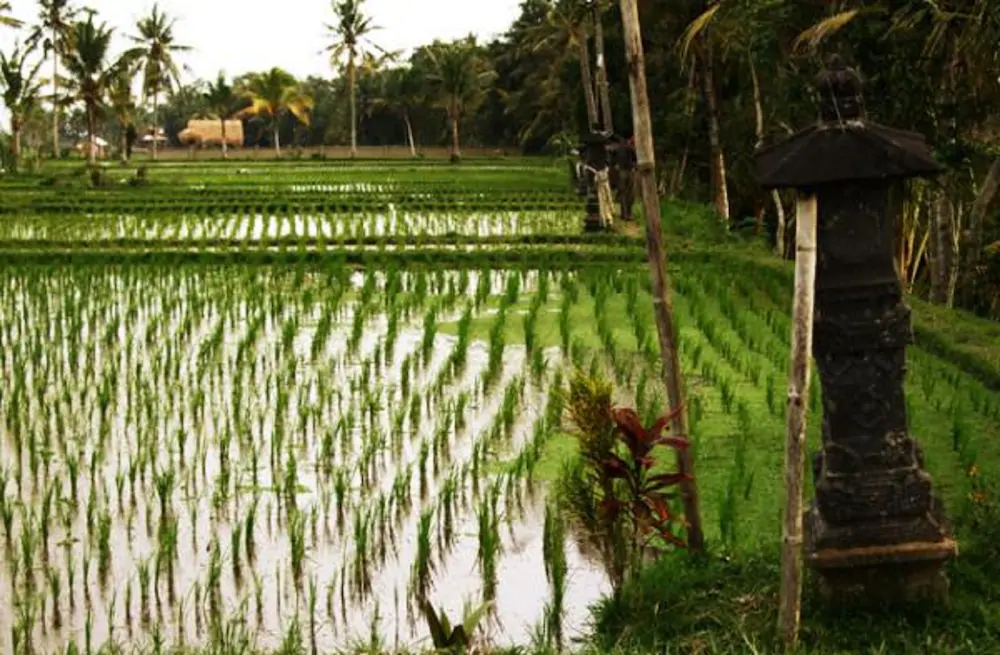 Villa Puri Darma Agung