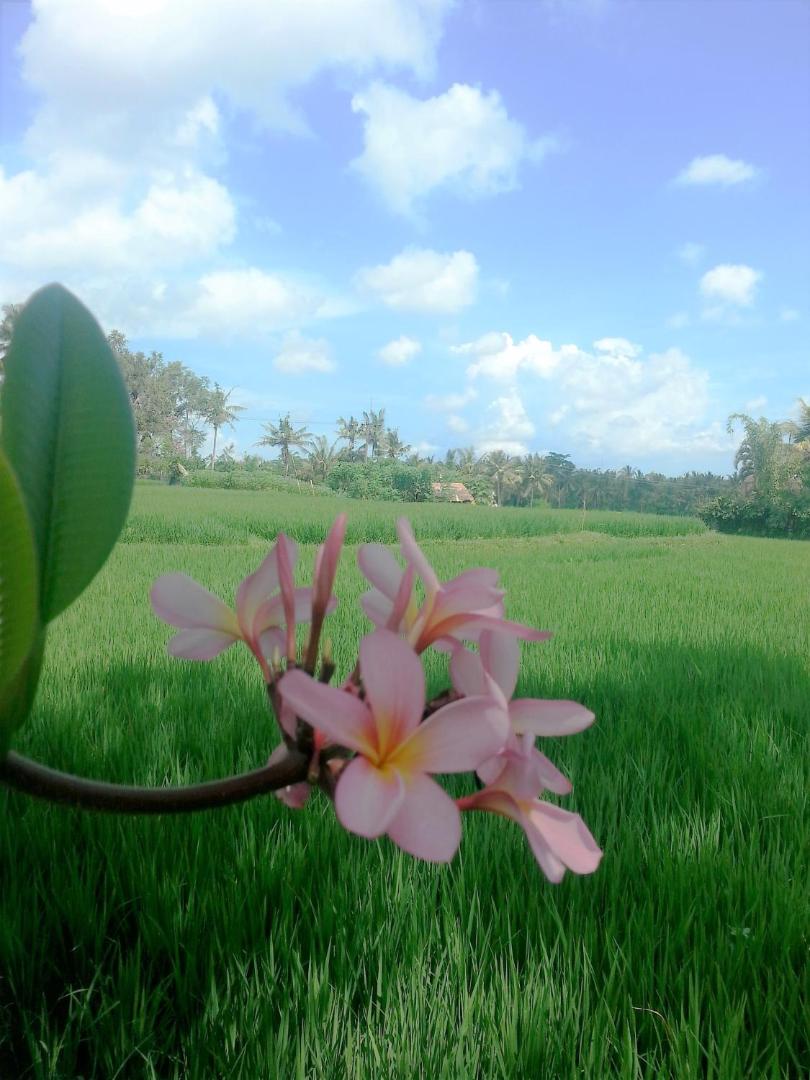 Villa Sekembang Ubud