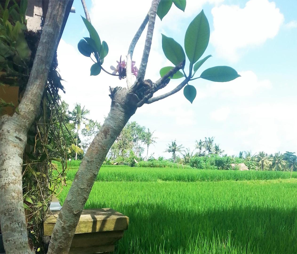 Villa Sekembang Ubud