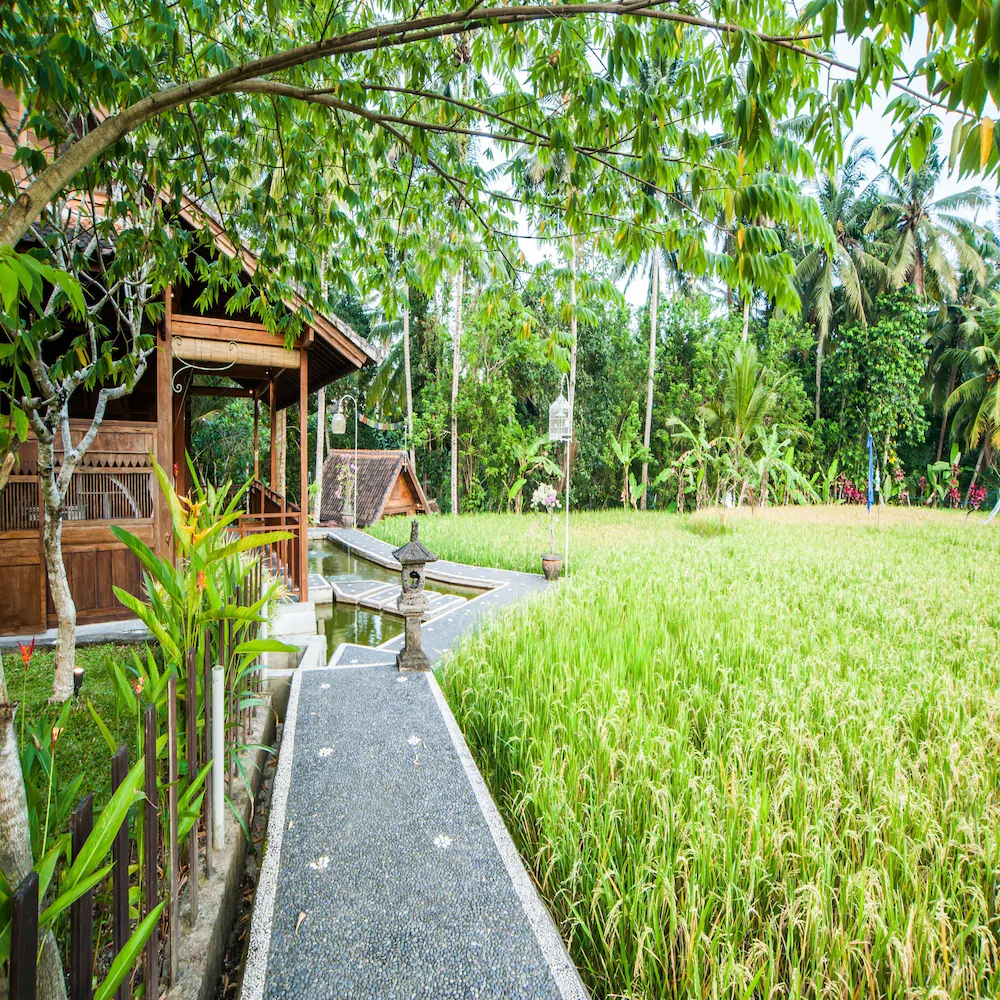 Villa Tirta Padi