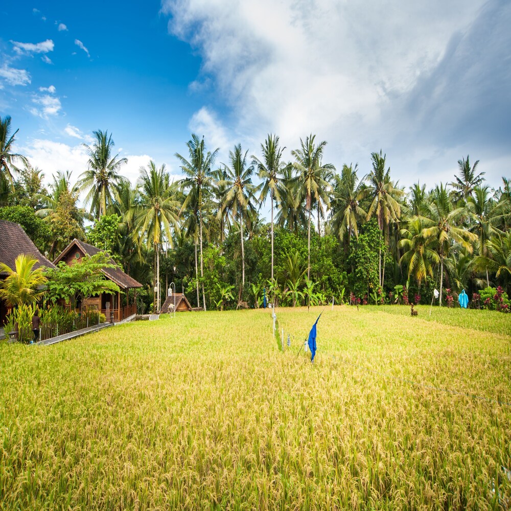 Villa Tirta Padi
