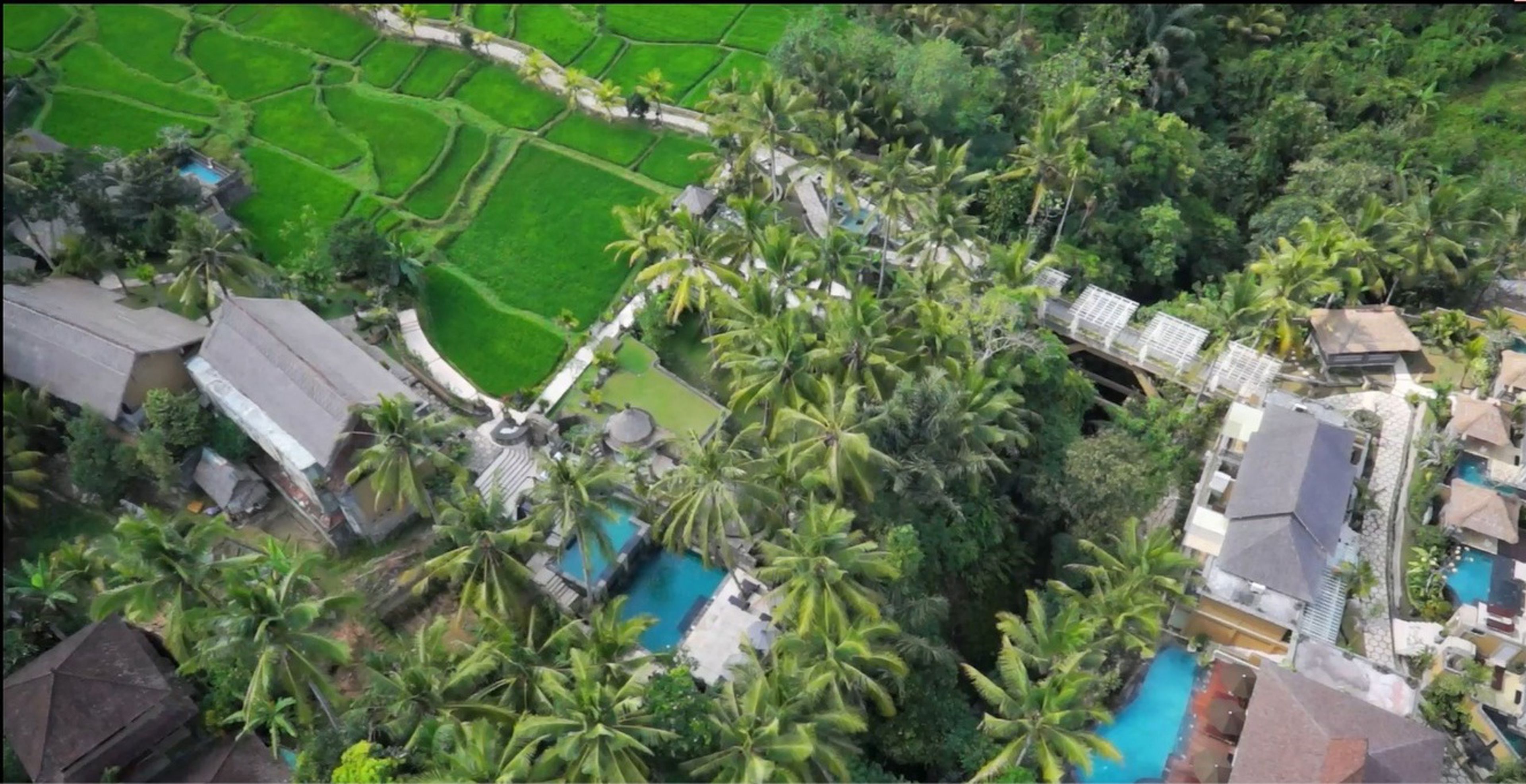Wapa Di Ume Resort & Spa
