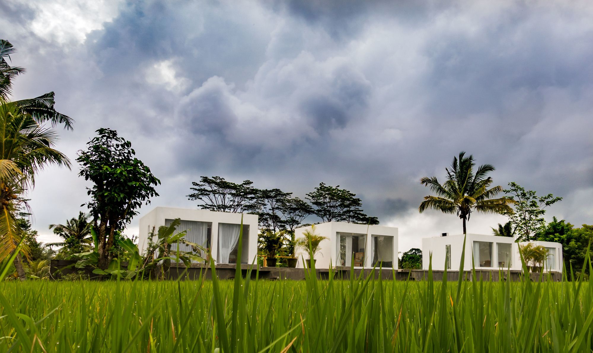 White Cubes Villa