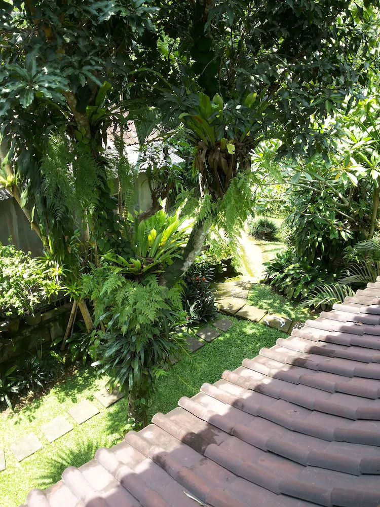 Wina Ubud B&B