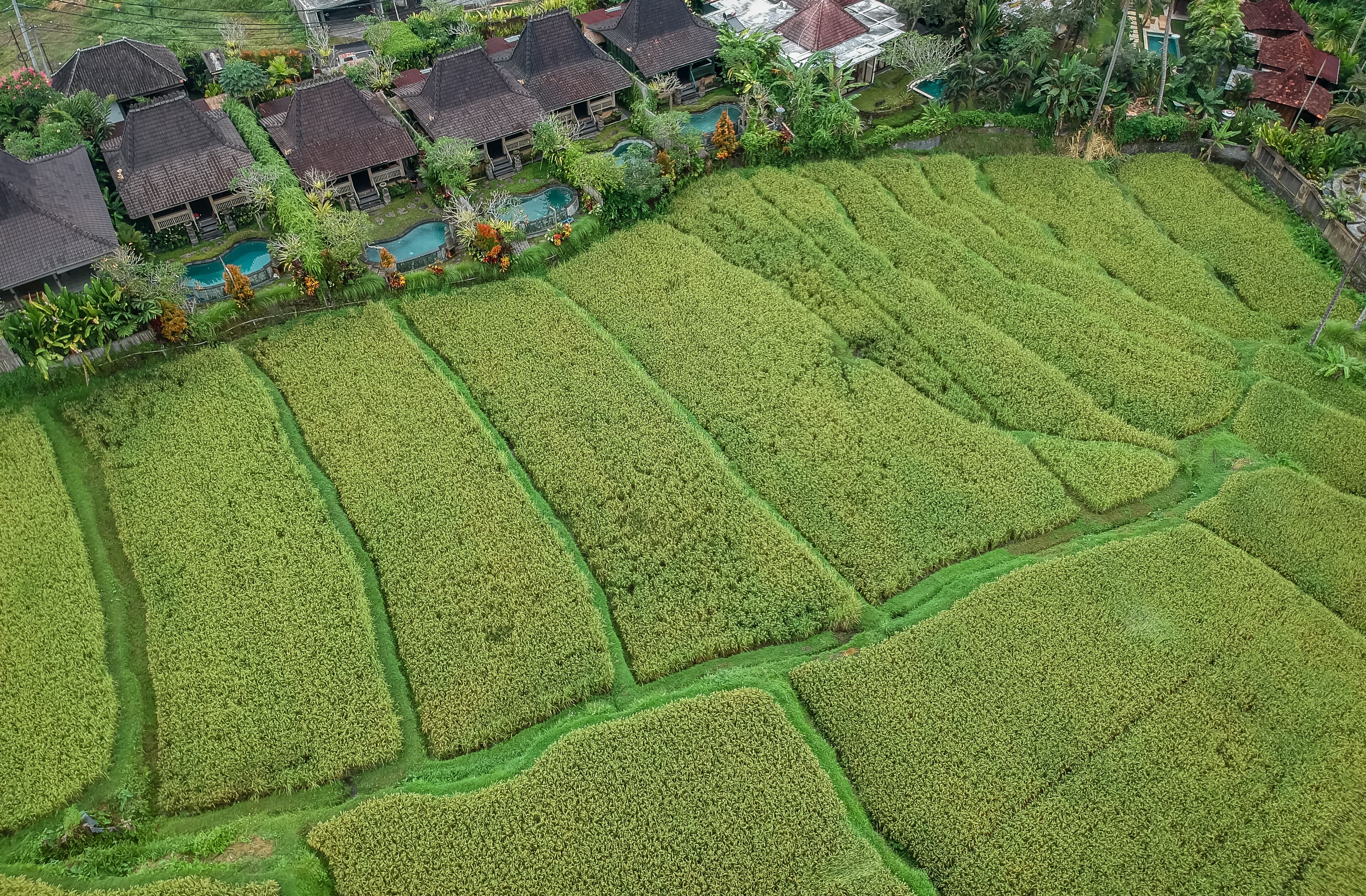 Wooden Ganeca Villas by Pramana Villas