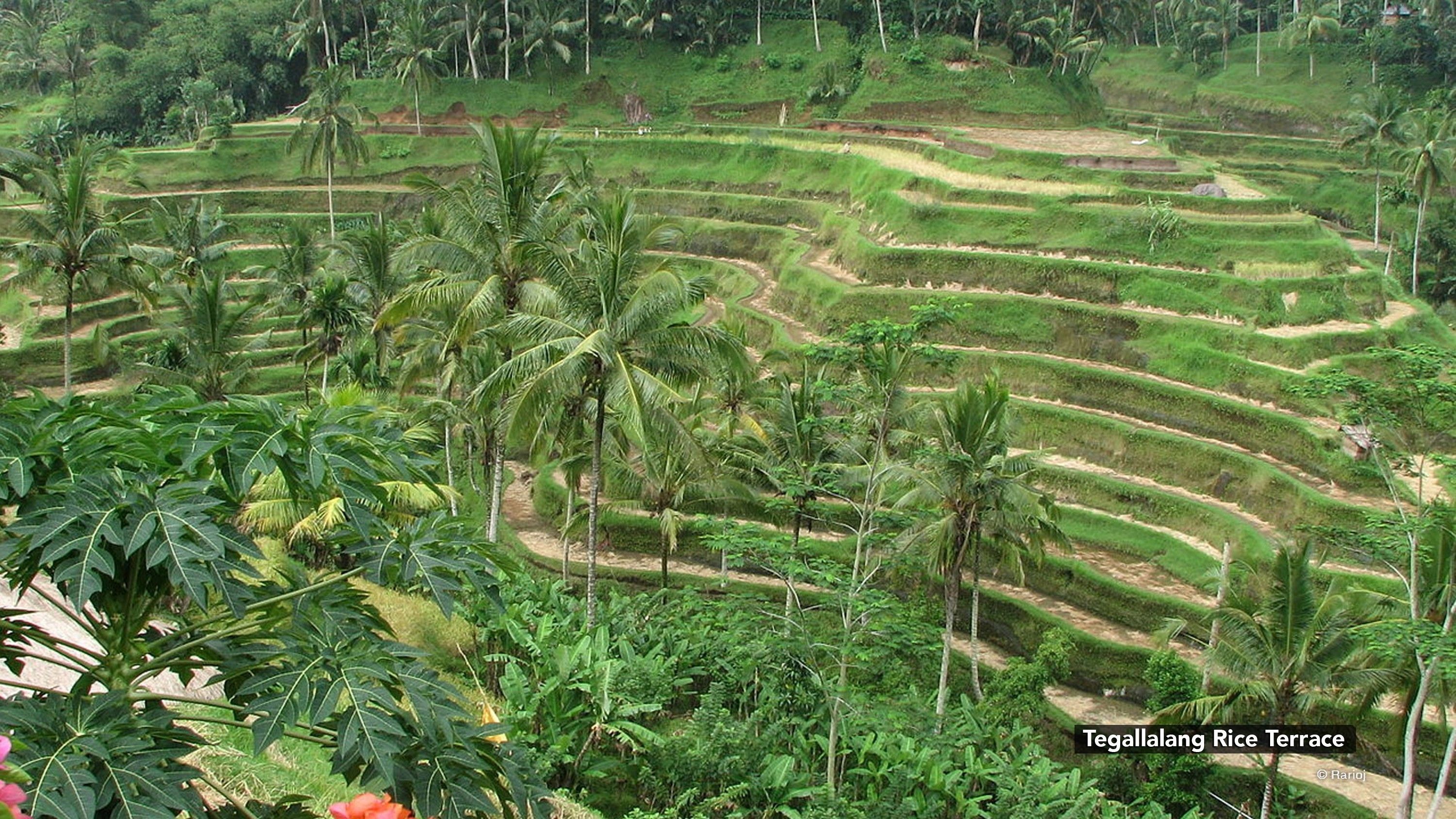 Bakung Ubud Resort and Villas by ZEN Rooms