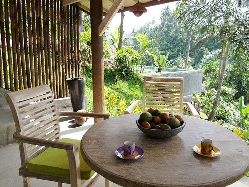 Zenubud Villa
