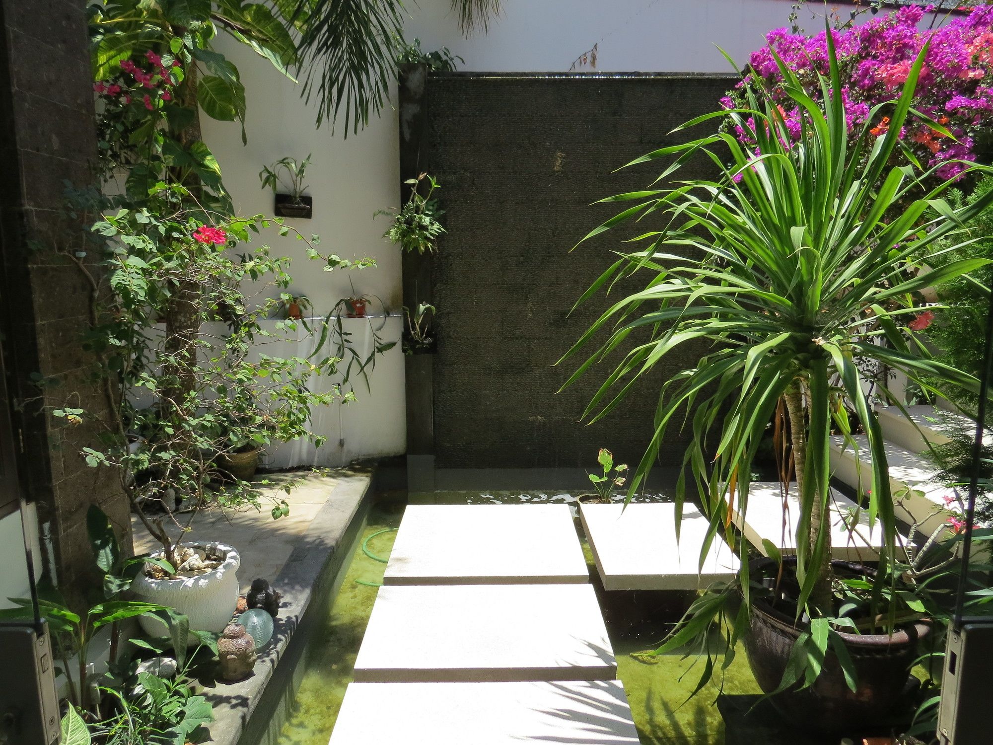 Villa Lebah