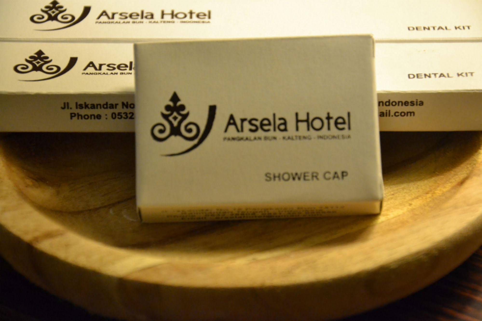 Arsela Hotel Pangkalan Bun