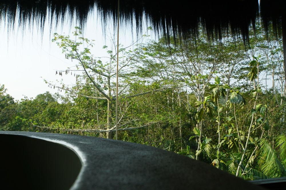 Samboja Lodge