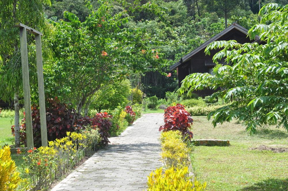 Samboja Lodge