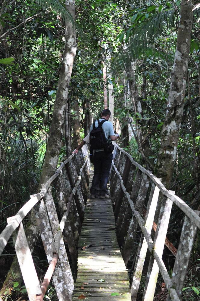 Samboja Lodge