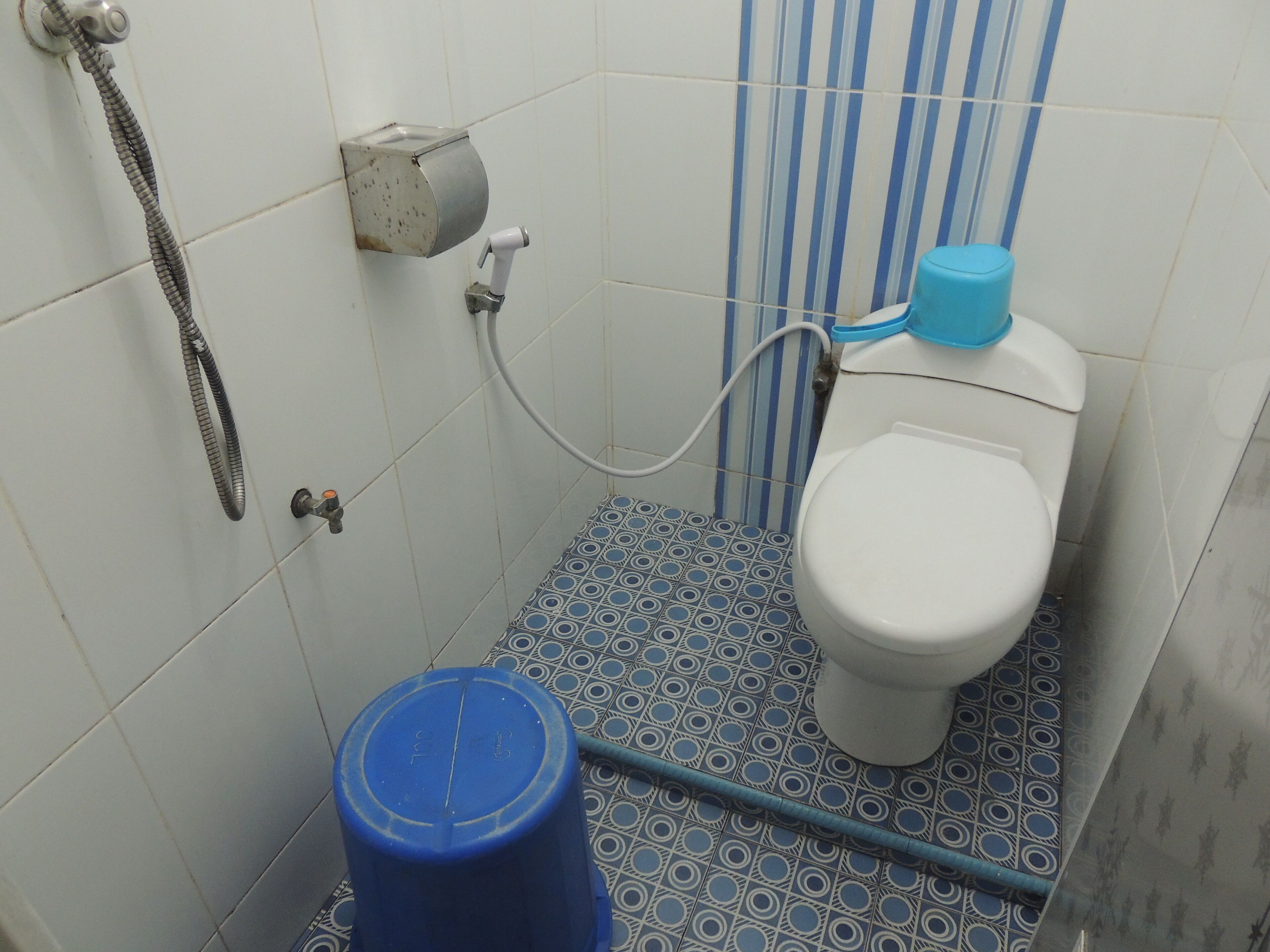 Penginapan Dieng 0km